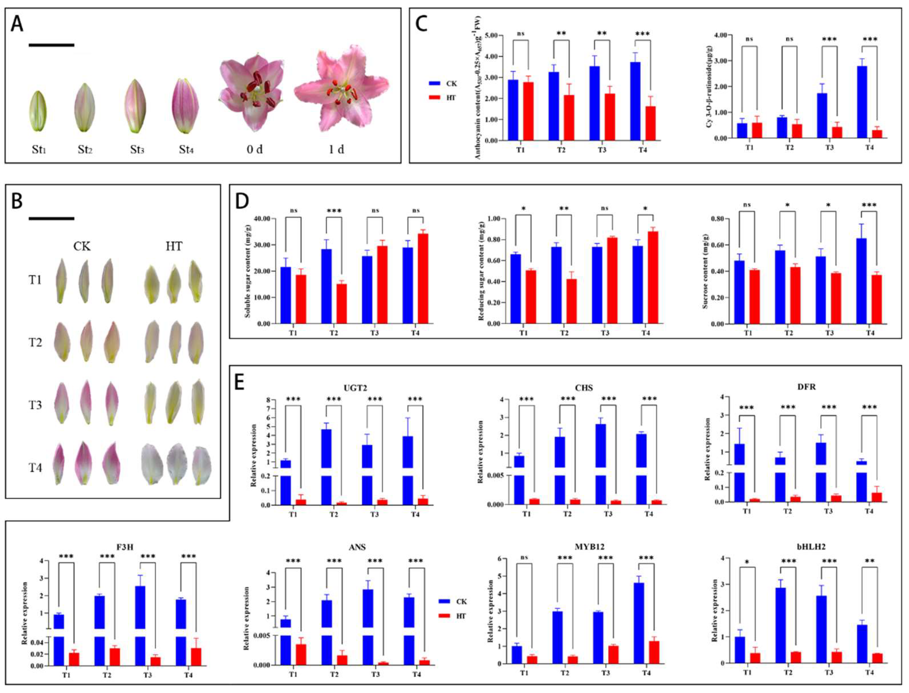 Preprints 153666 g001