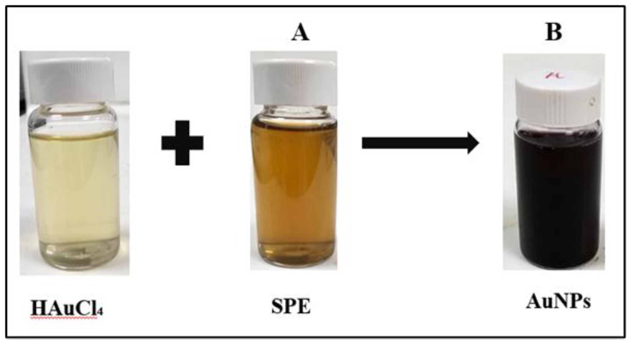 Preprints 171067 g001