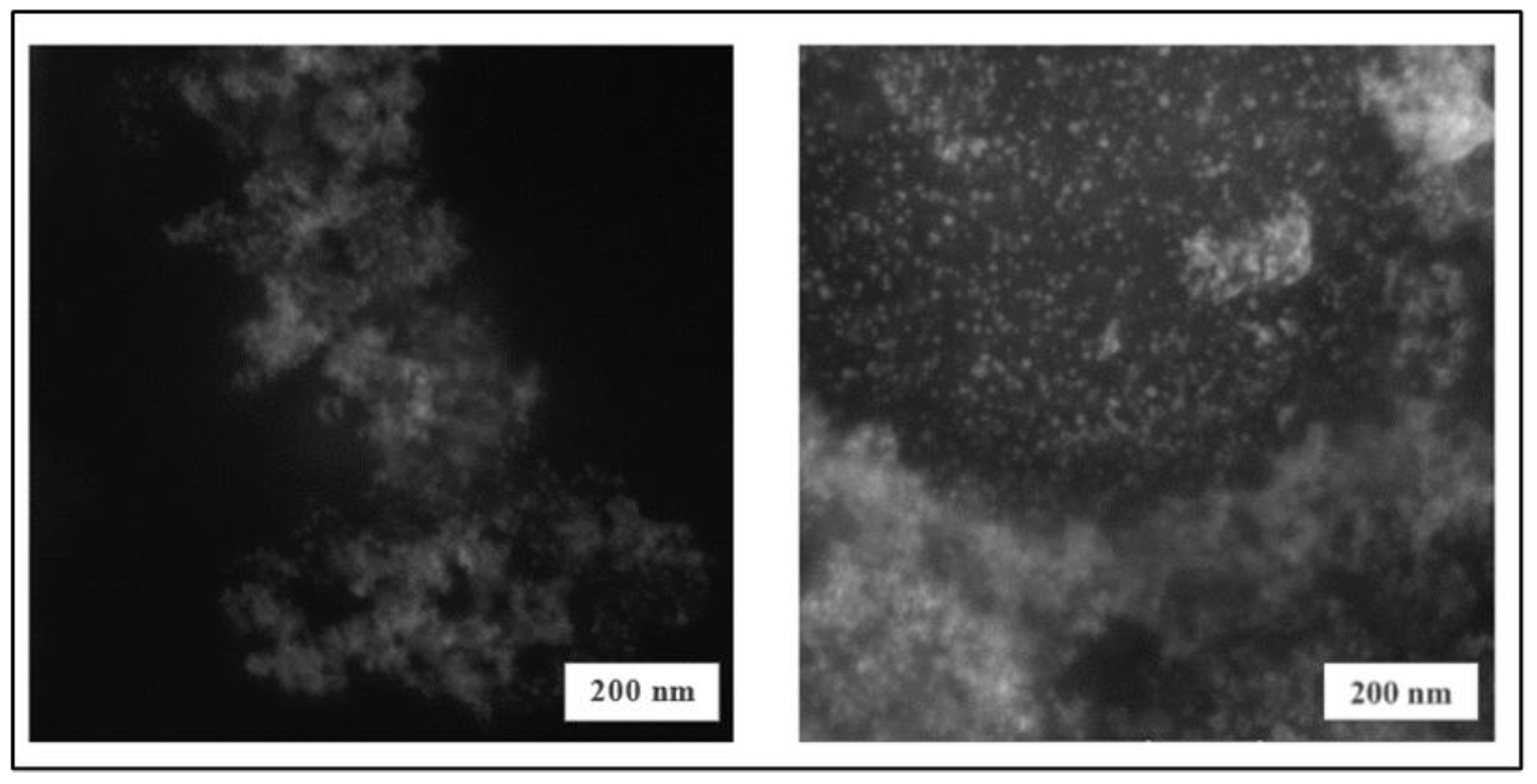 Preprints 171067 g003