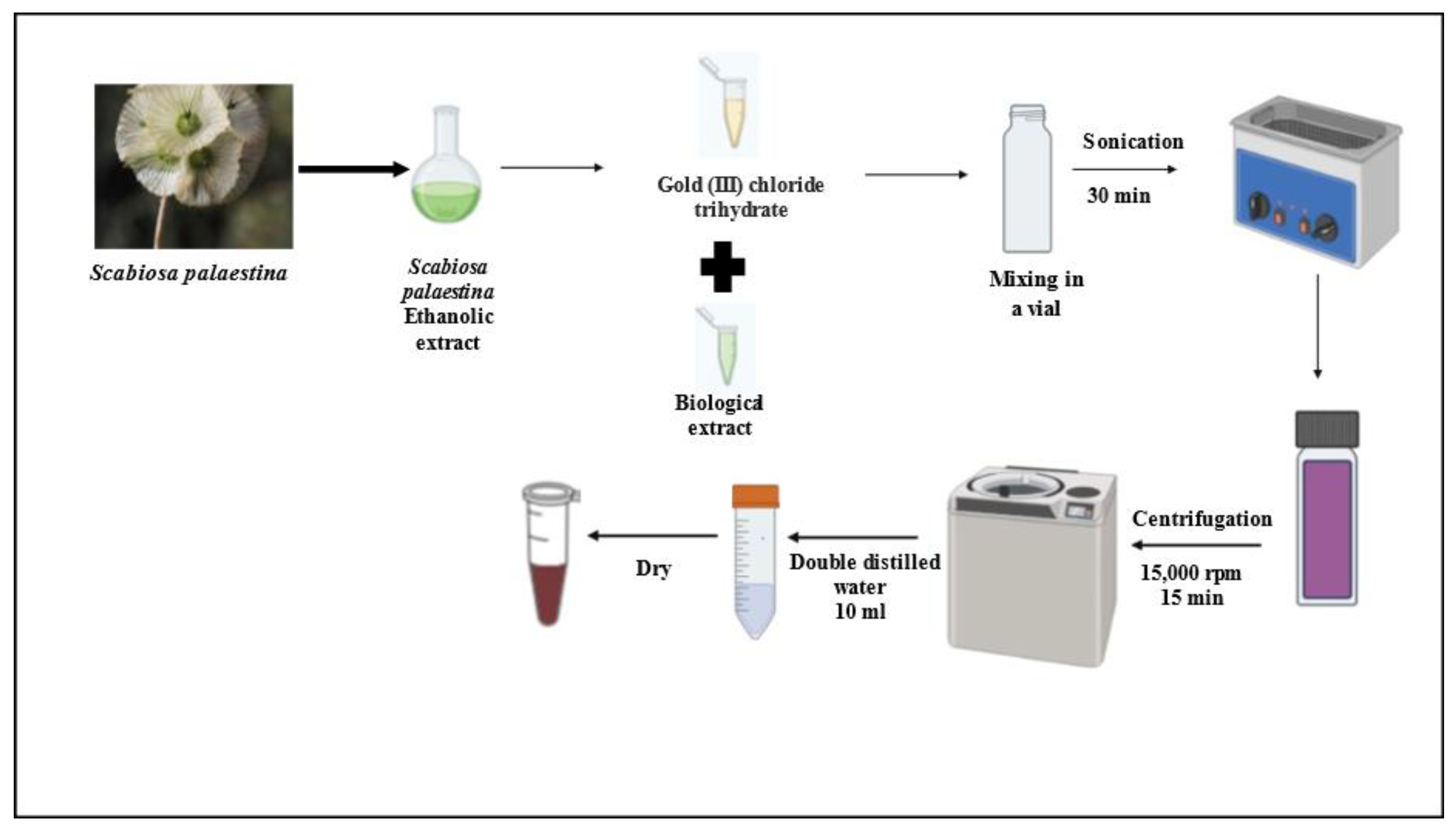 Preprints 171067 sch001
