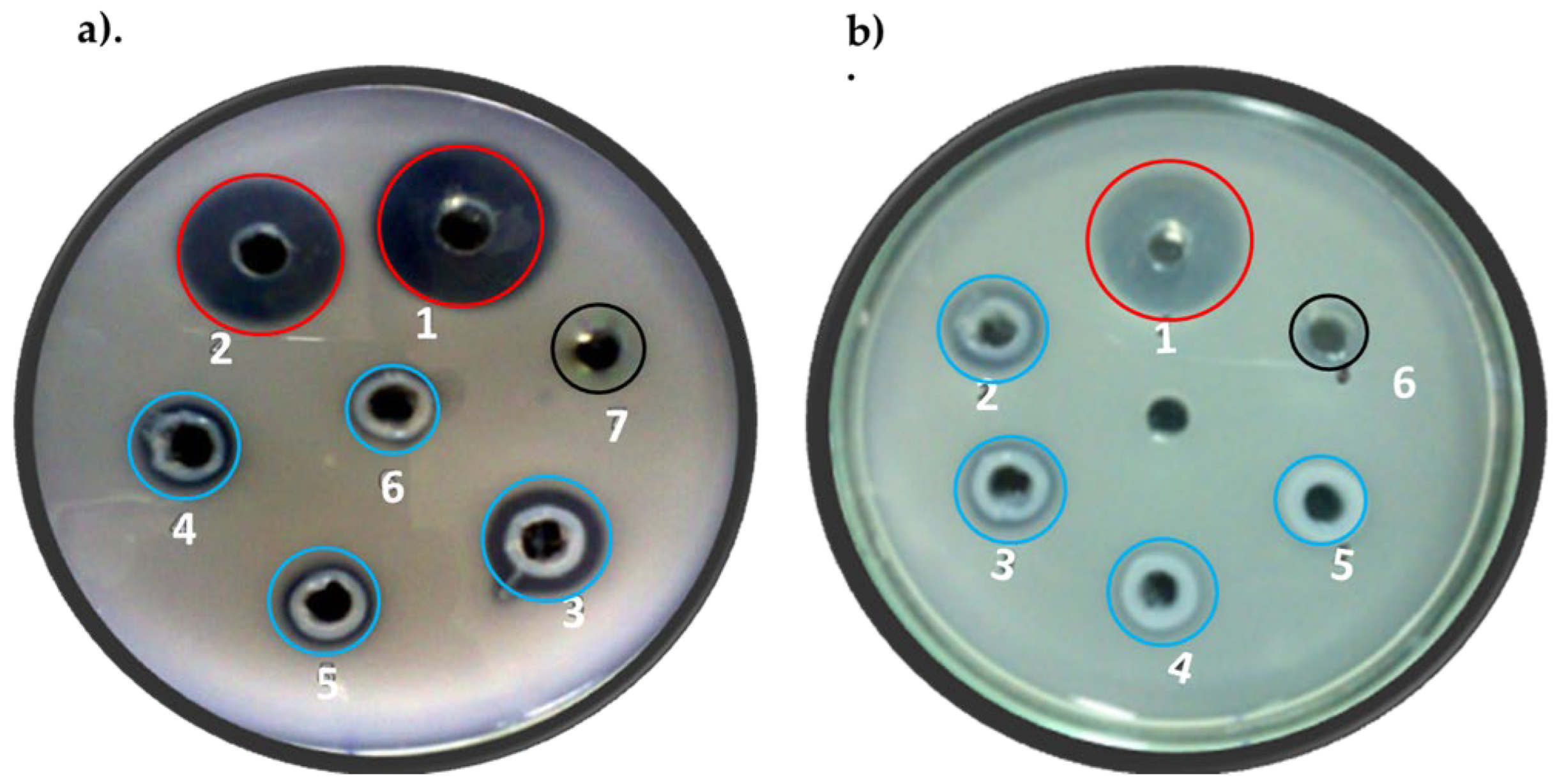 Preprints 186203 g002