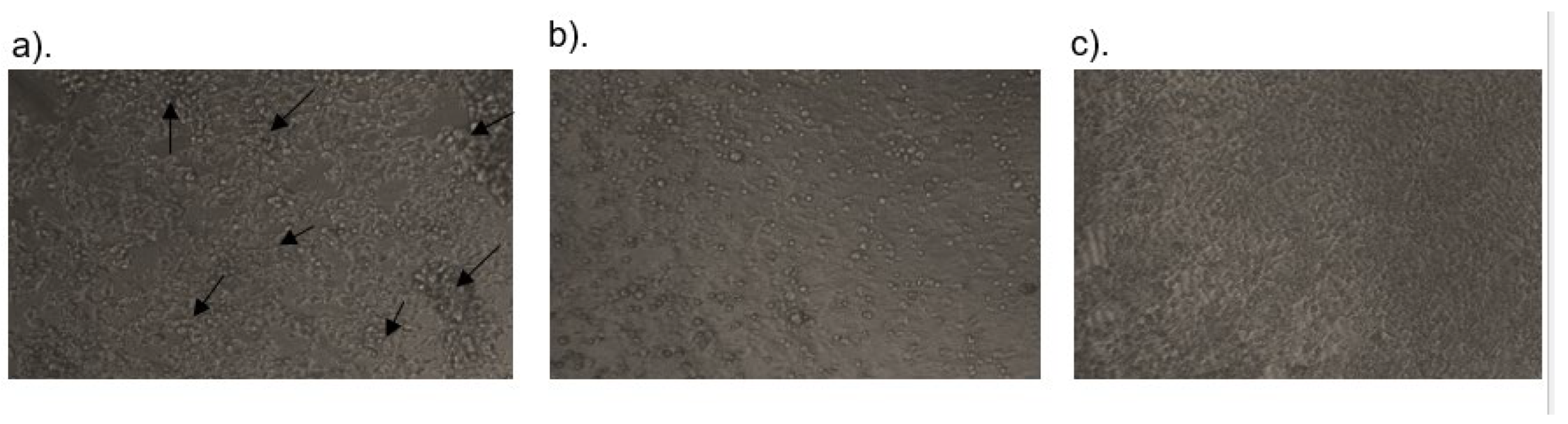 Preprints 186203 g009