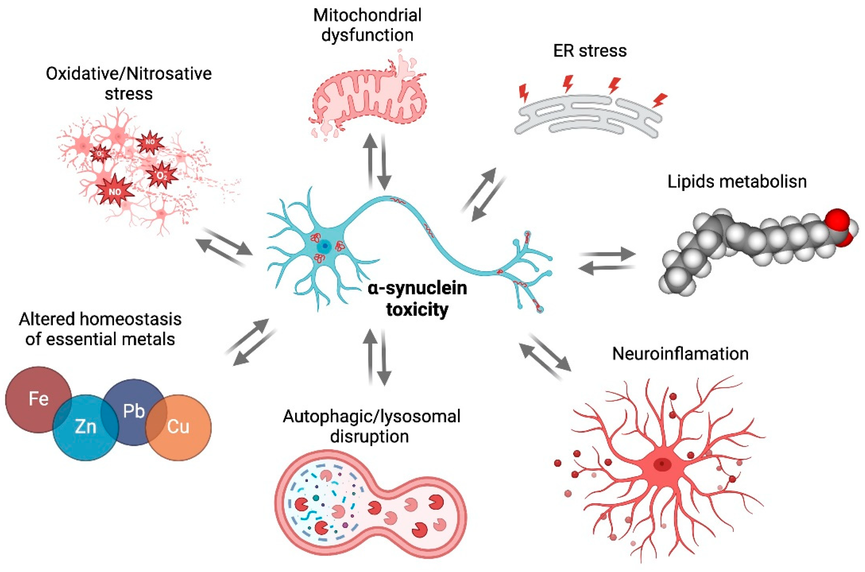 Preprints 109384 g001