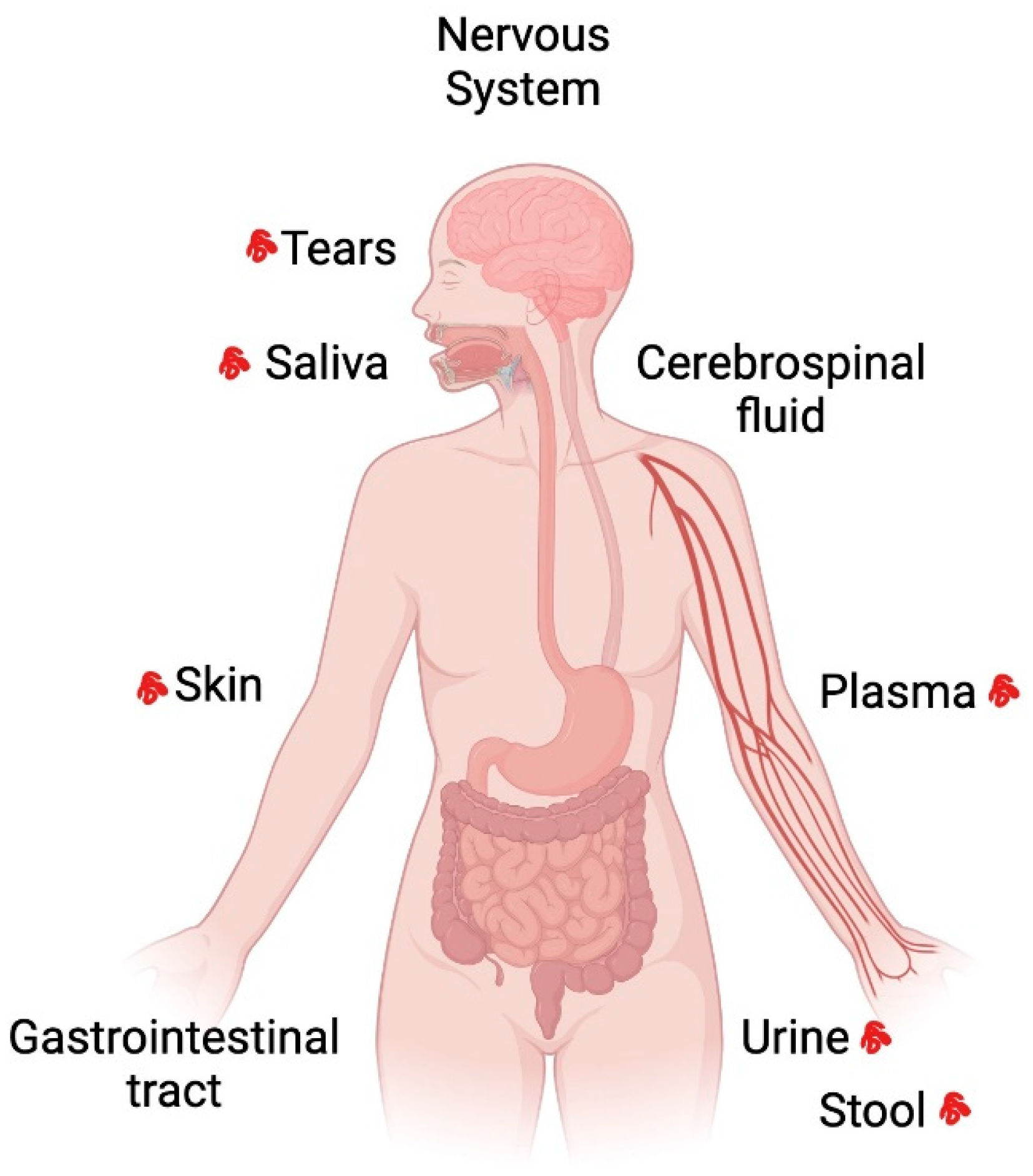 Preprints 109384 g002