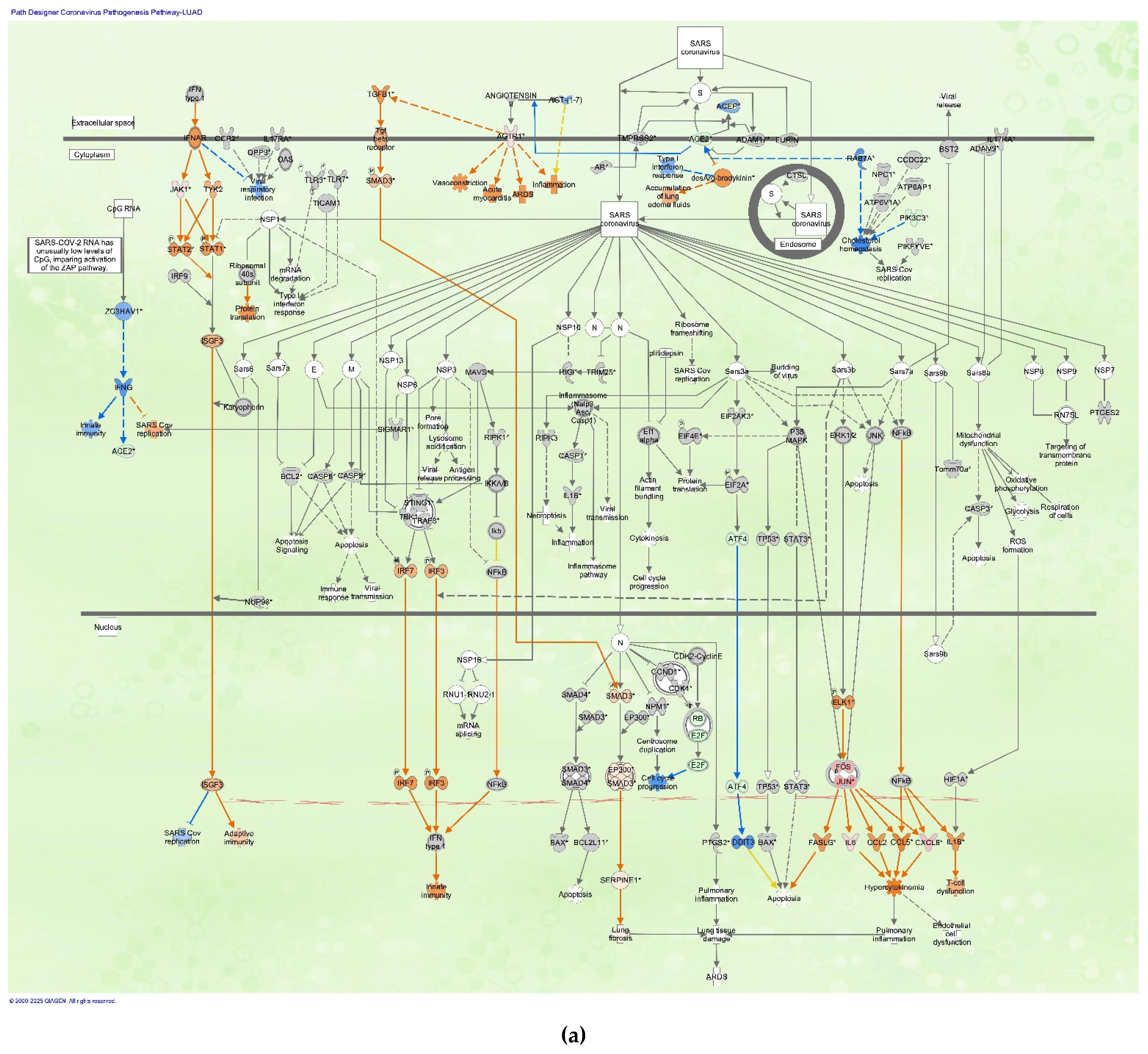 Preprints 160055 g002a