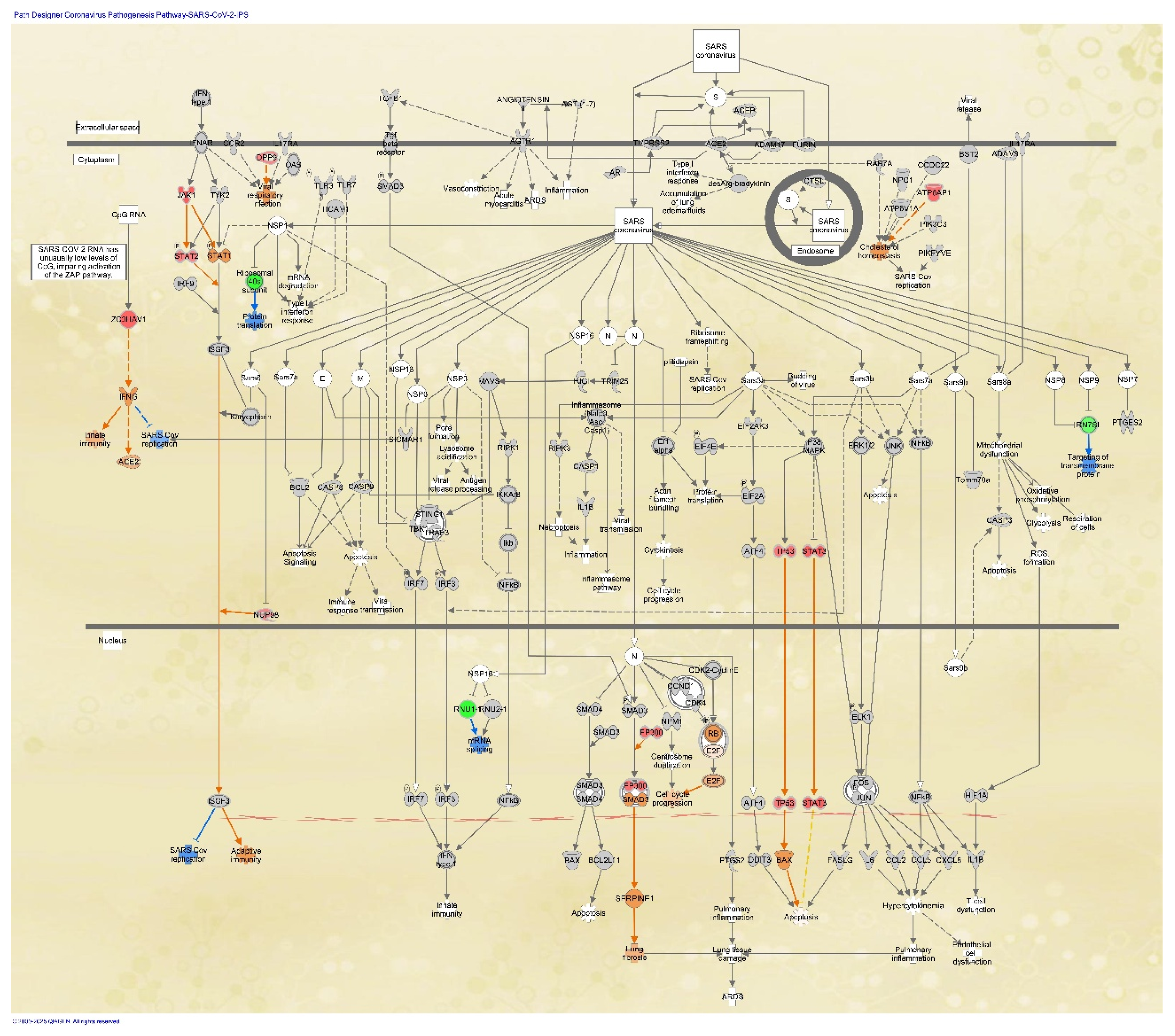 Preprints 160055 g003