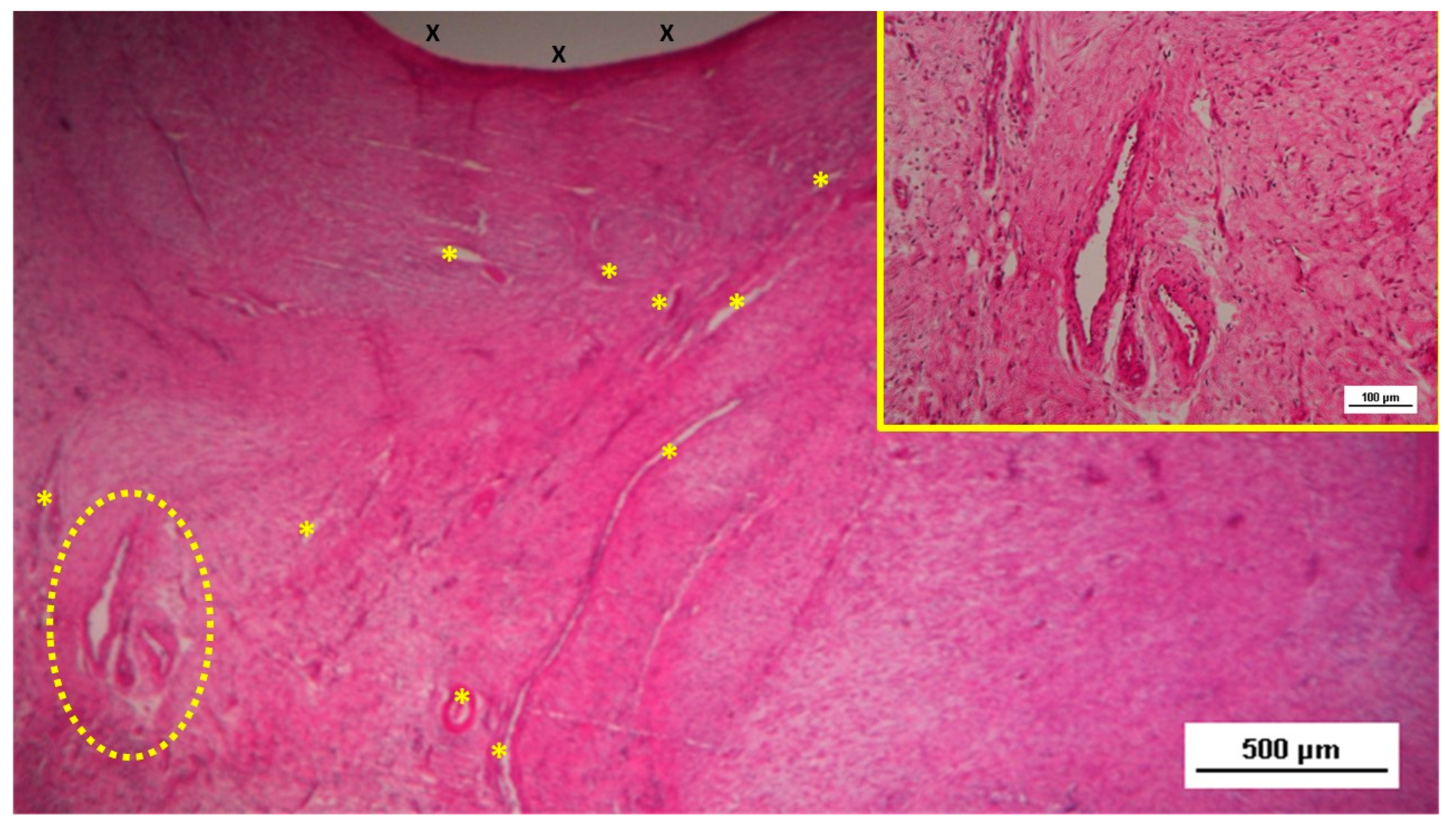 Preprints 141535 g004