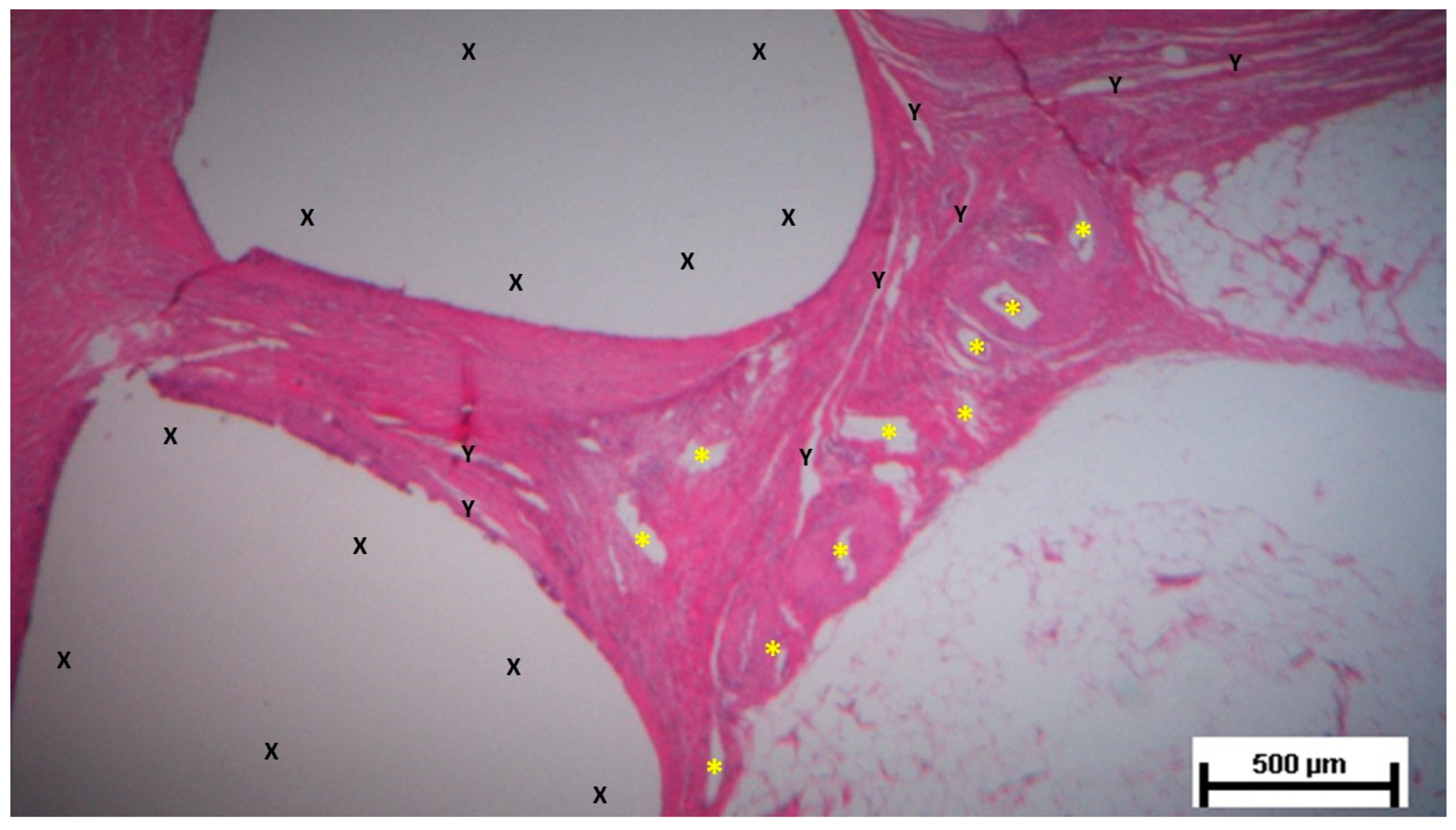 Preprints 141535 g016