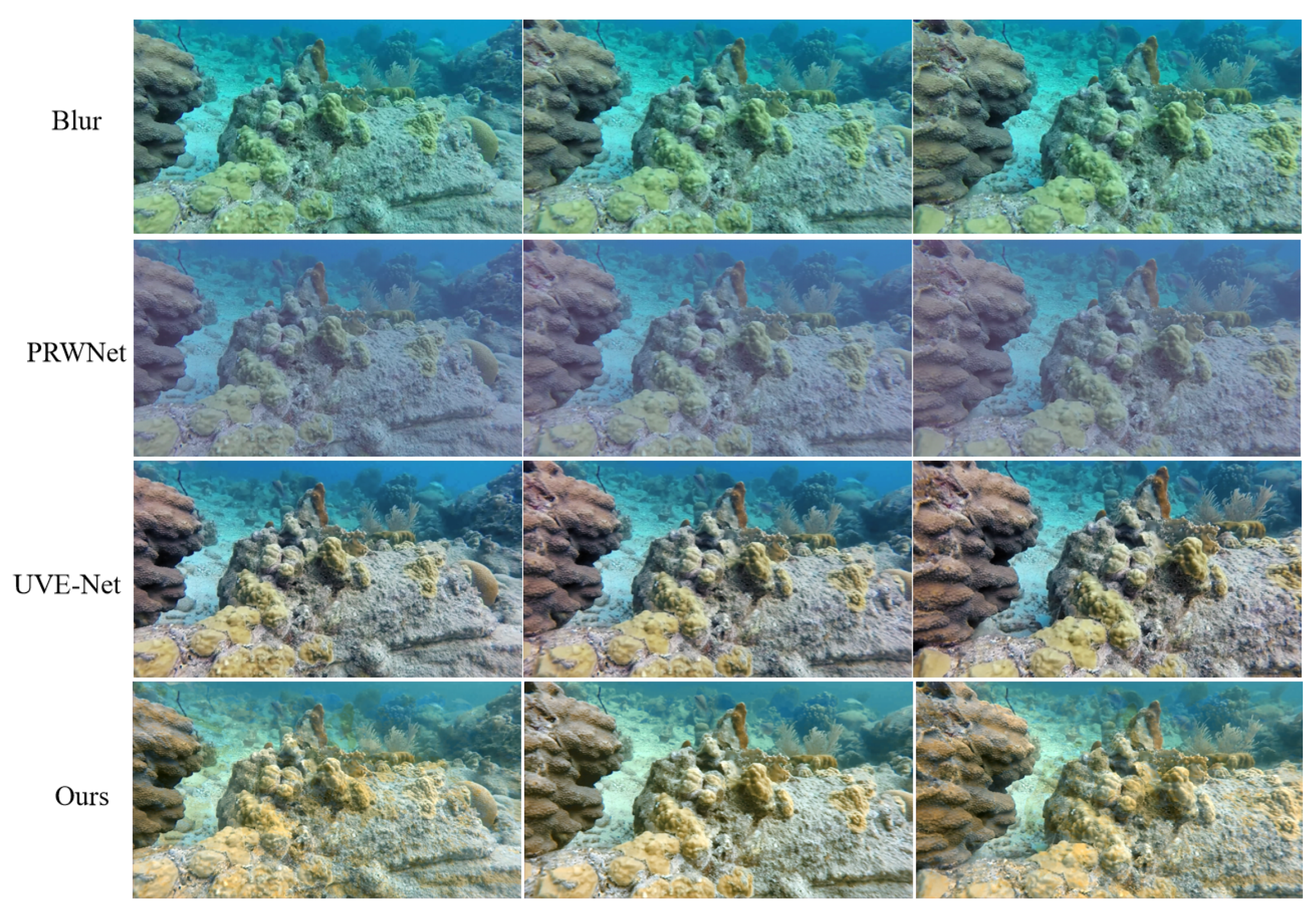 Preprints 153421 g001