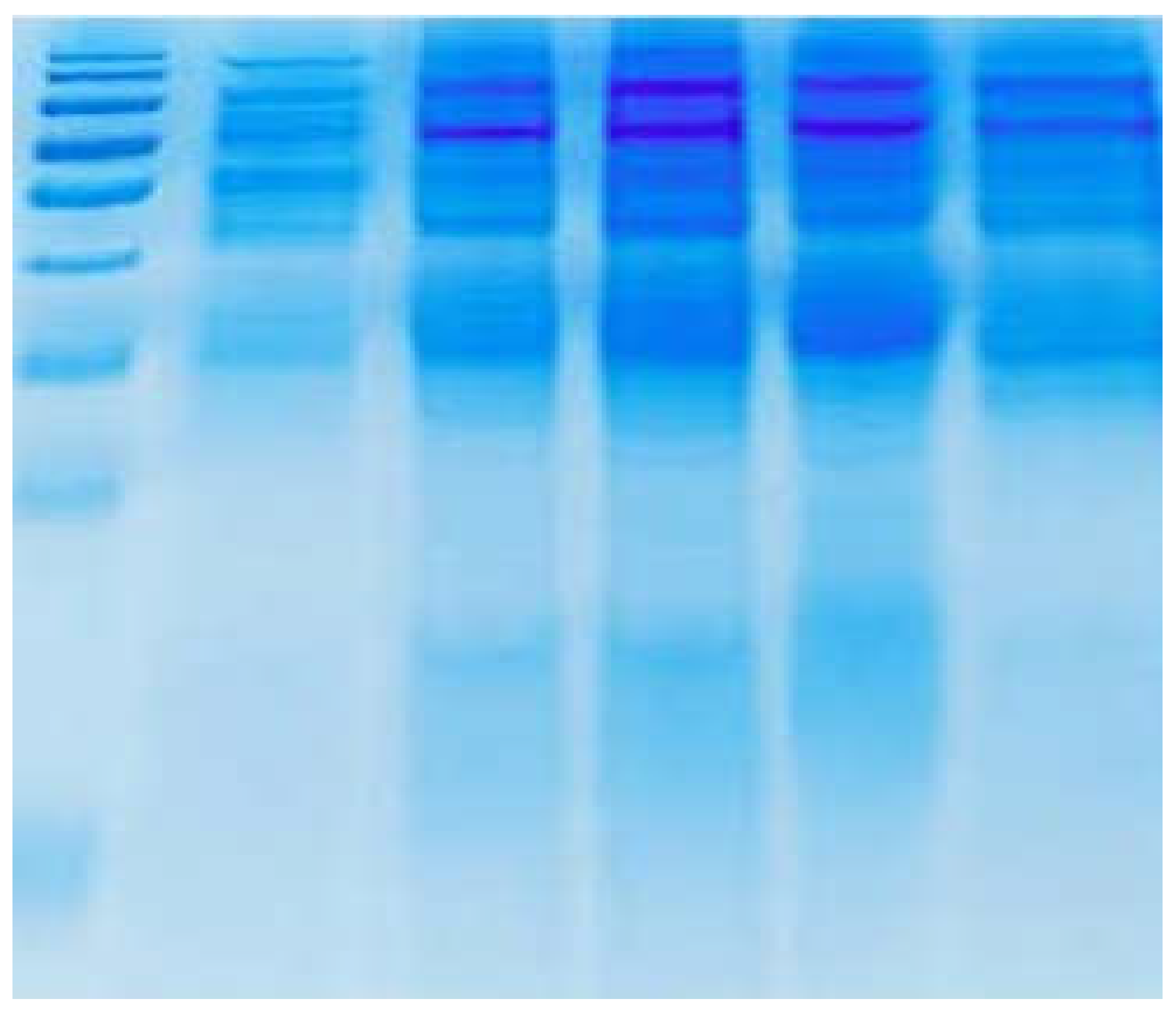 Preprints 103875 g004