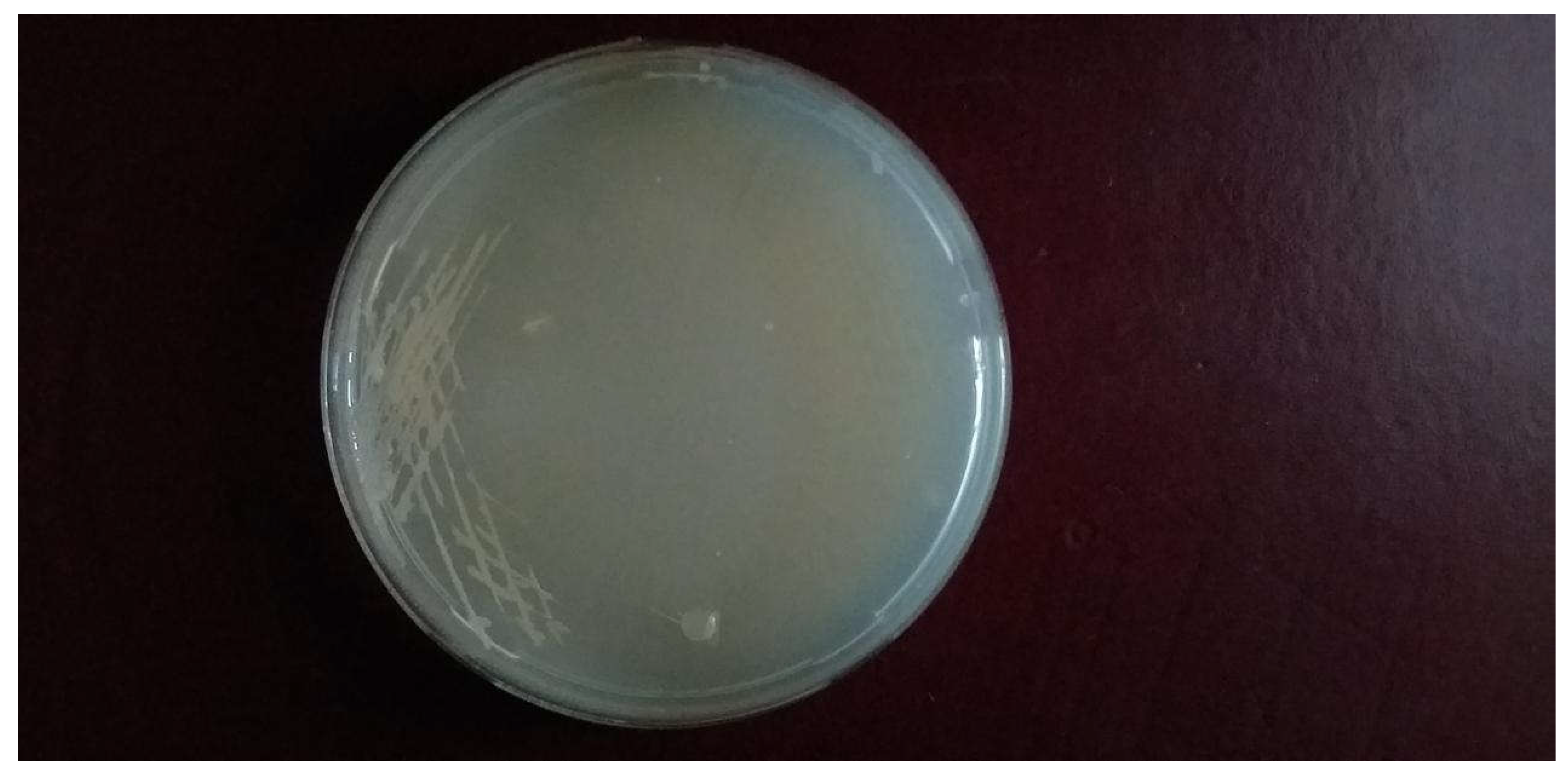 Preprints 103875 g005