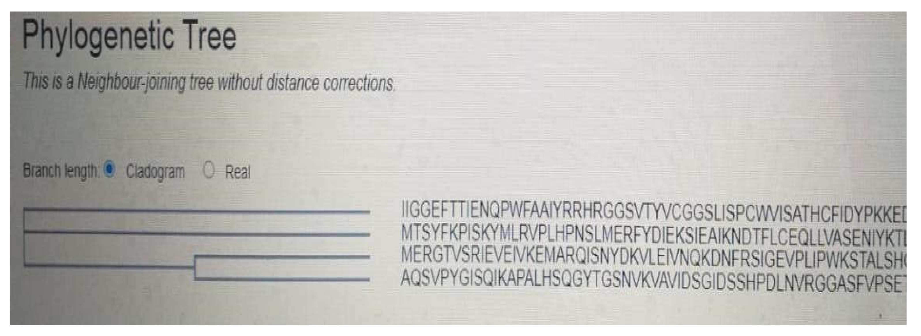 Preprints 103875 g020