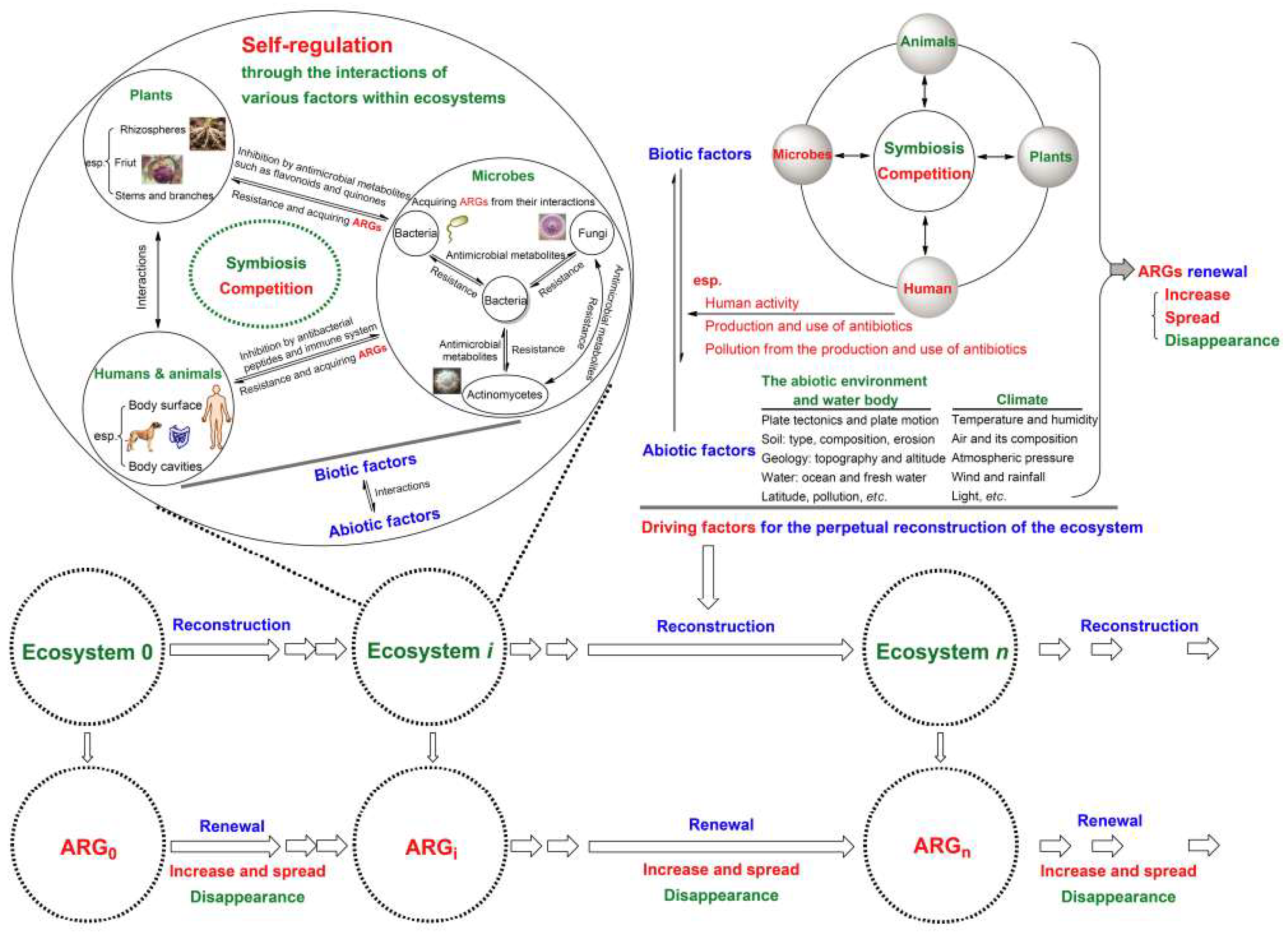Preprints 169673 g002