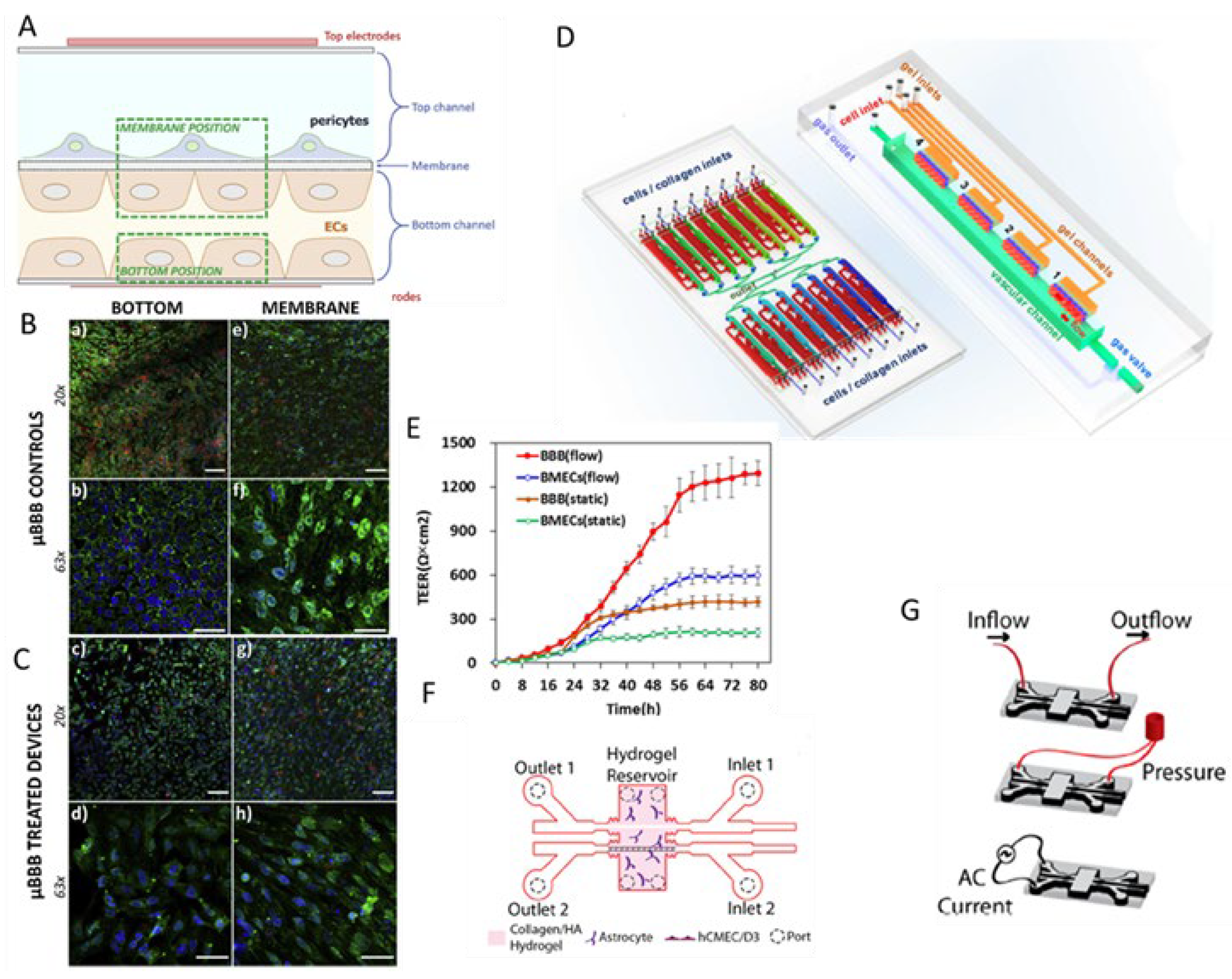 Preprints 149761 g001