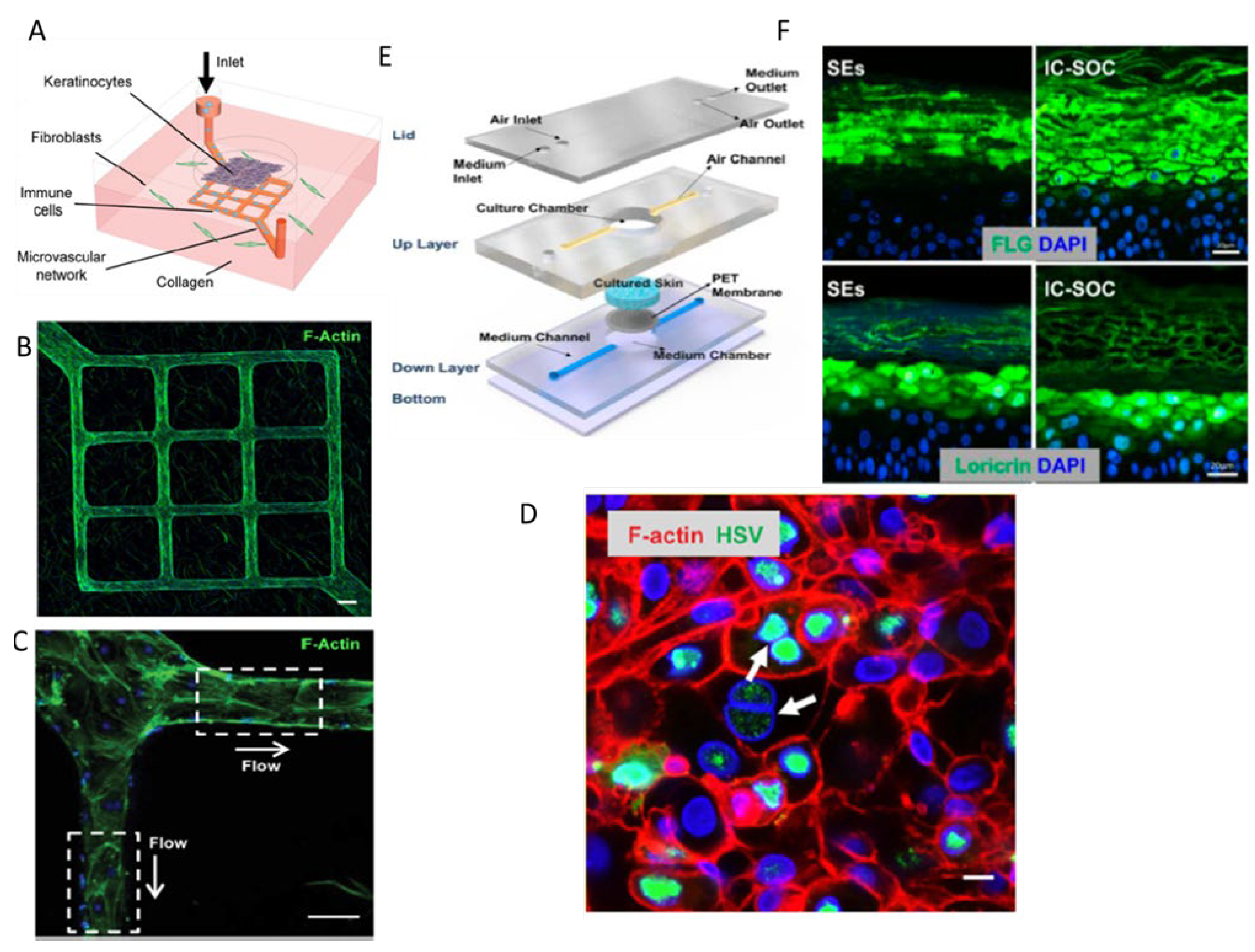 Preprints 149761 g004