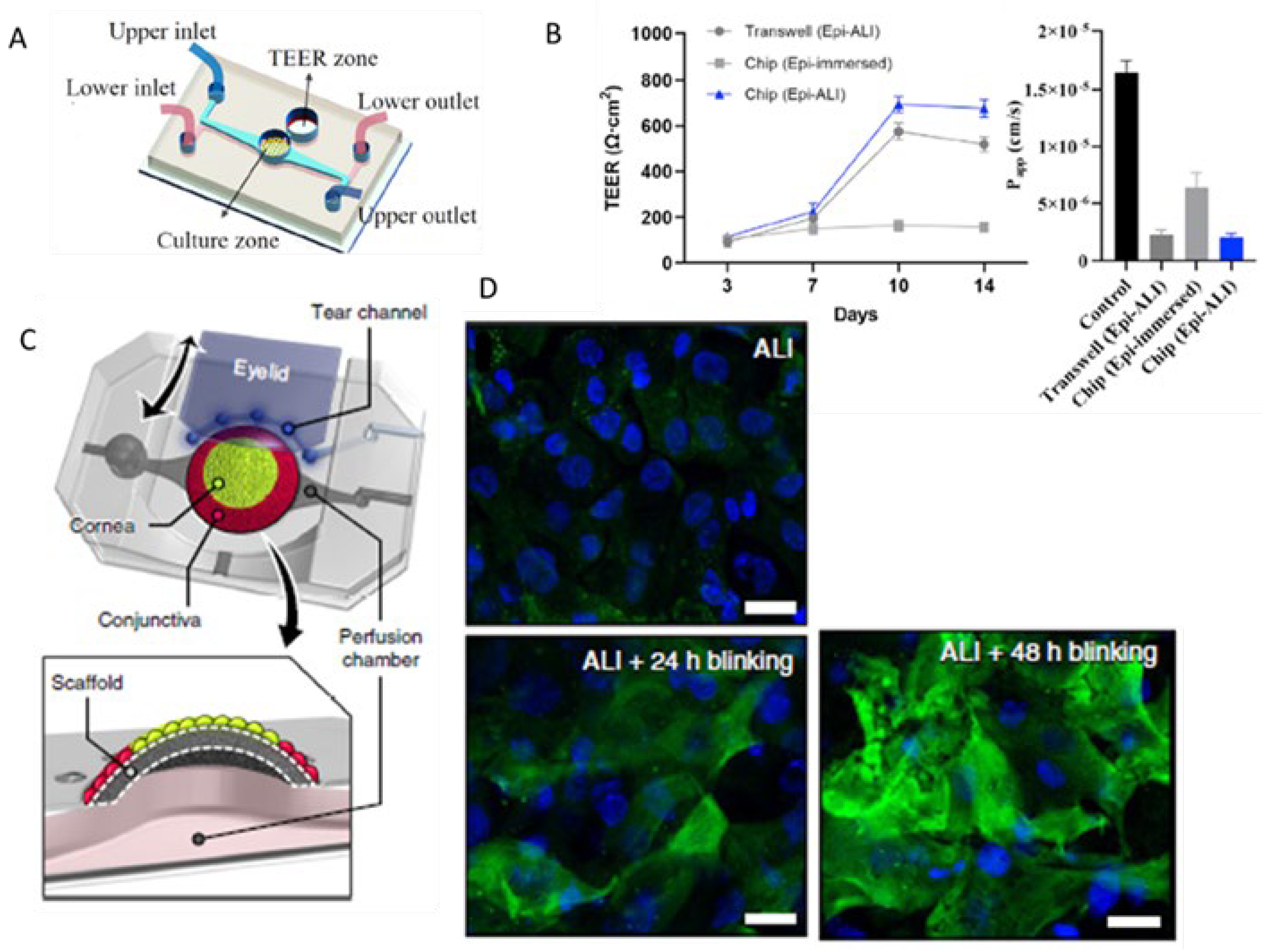 Preprints 149761 g005