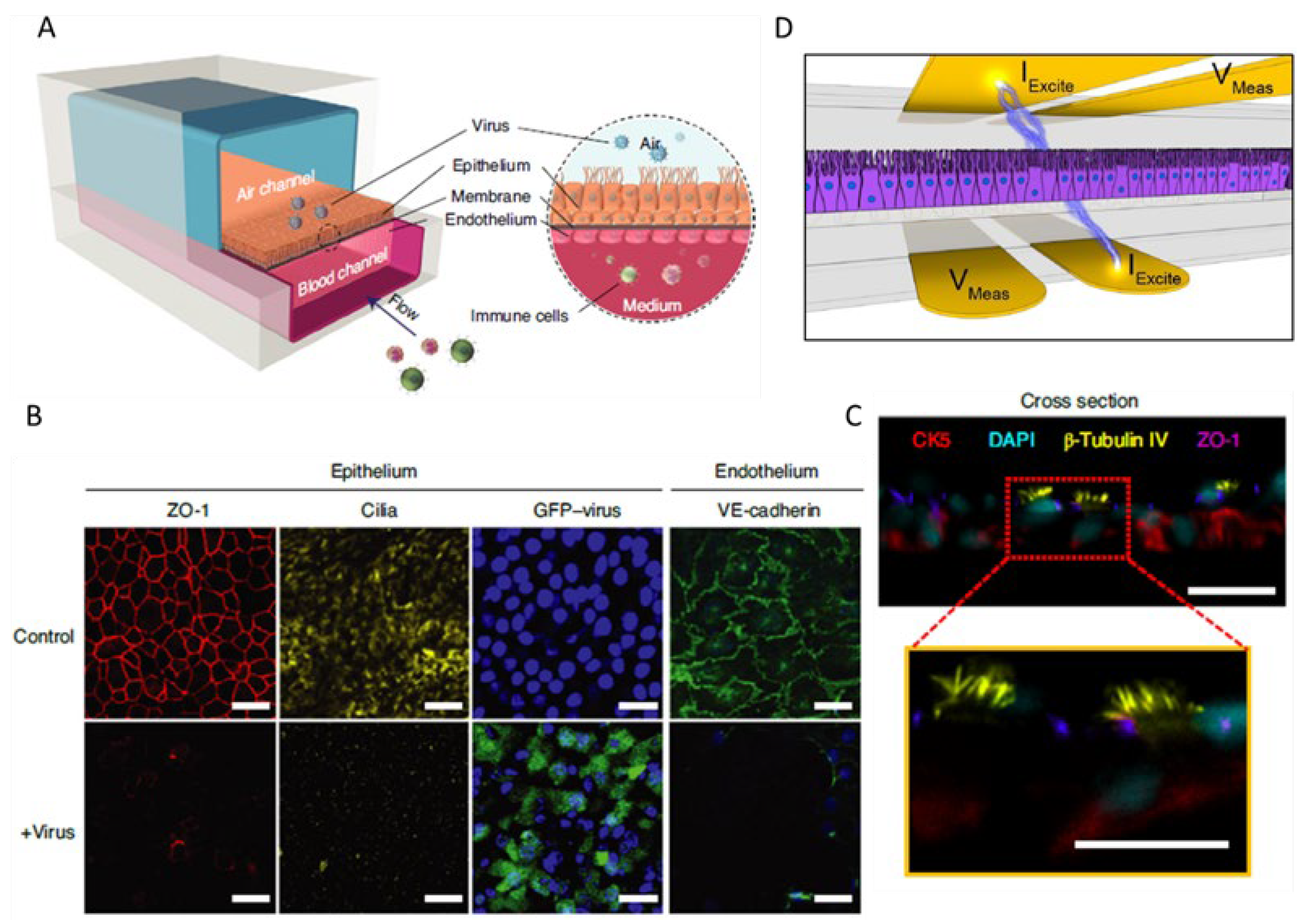 Preprints 149761 g006