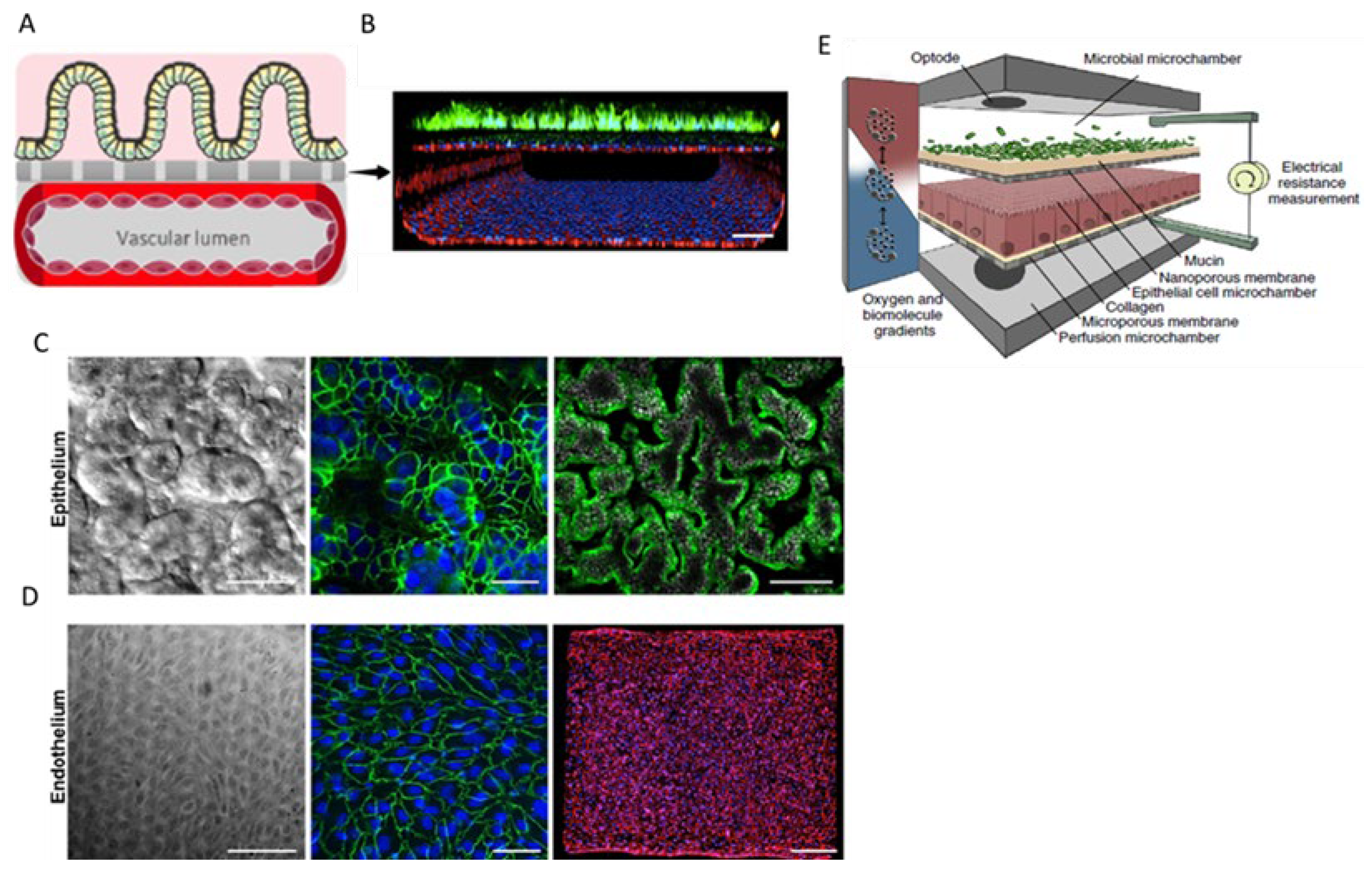 Preprints 149761 g007