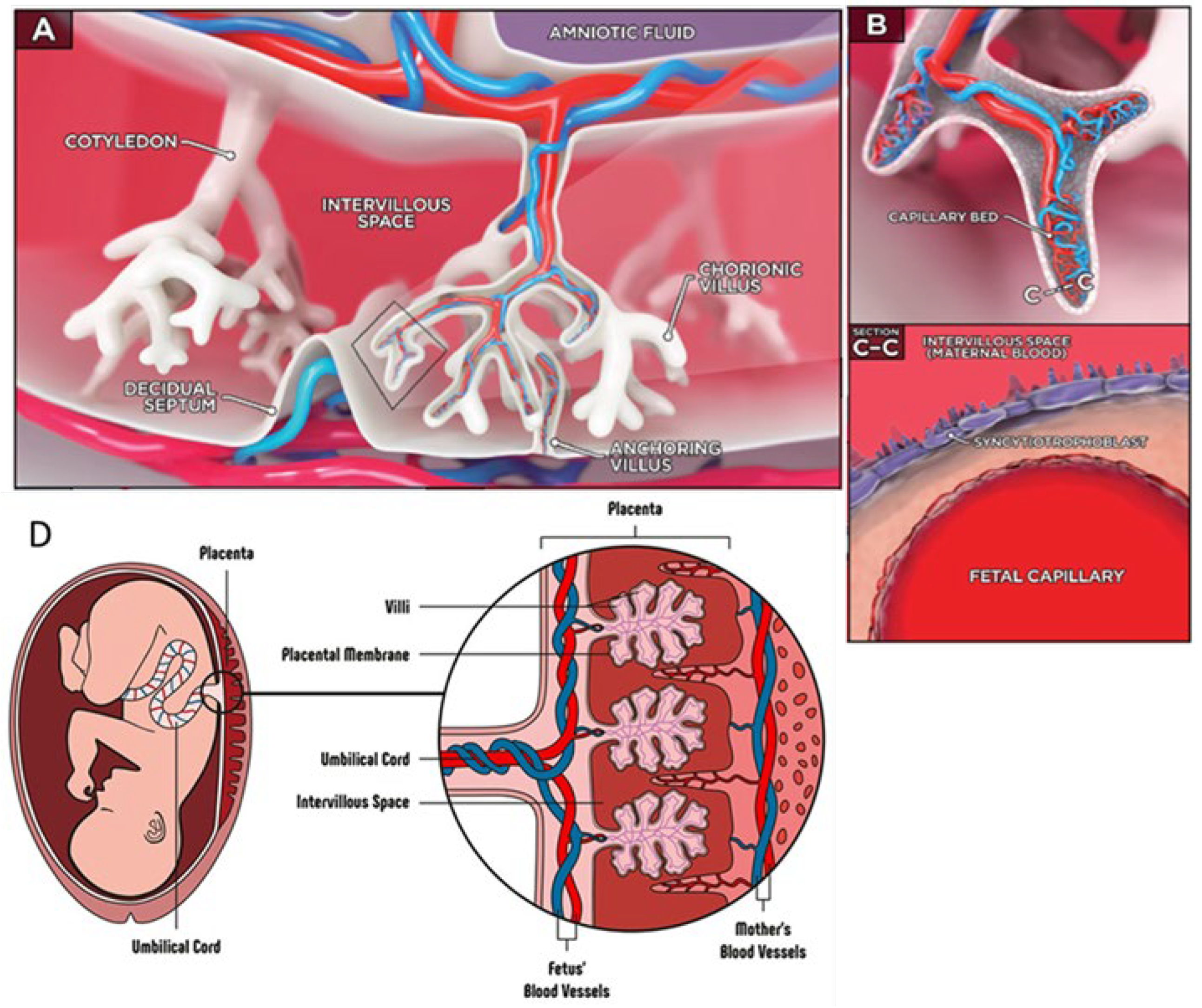 Preprints 149761 g009