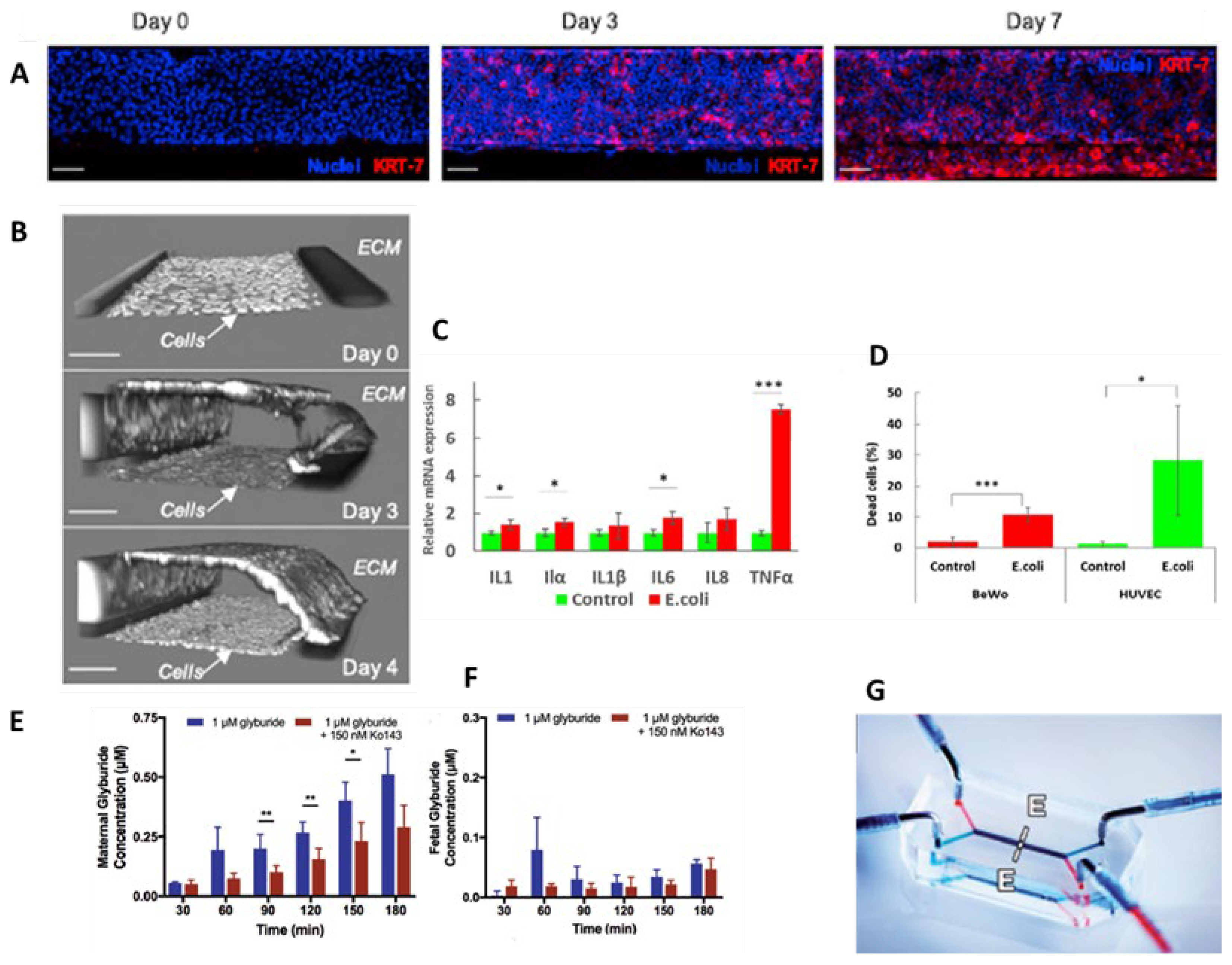 Preprints 149761 g010