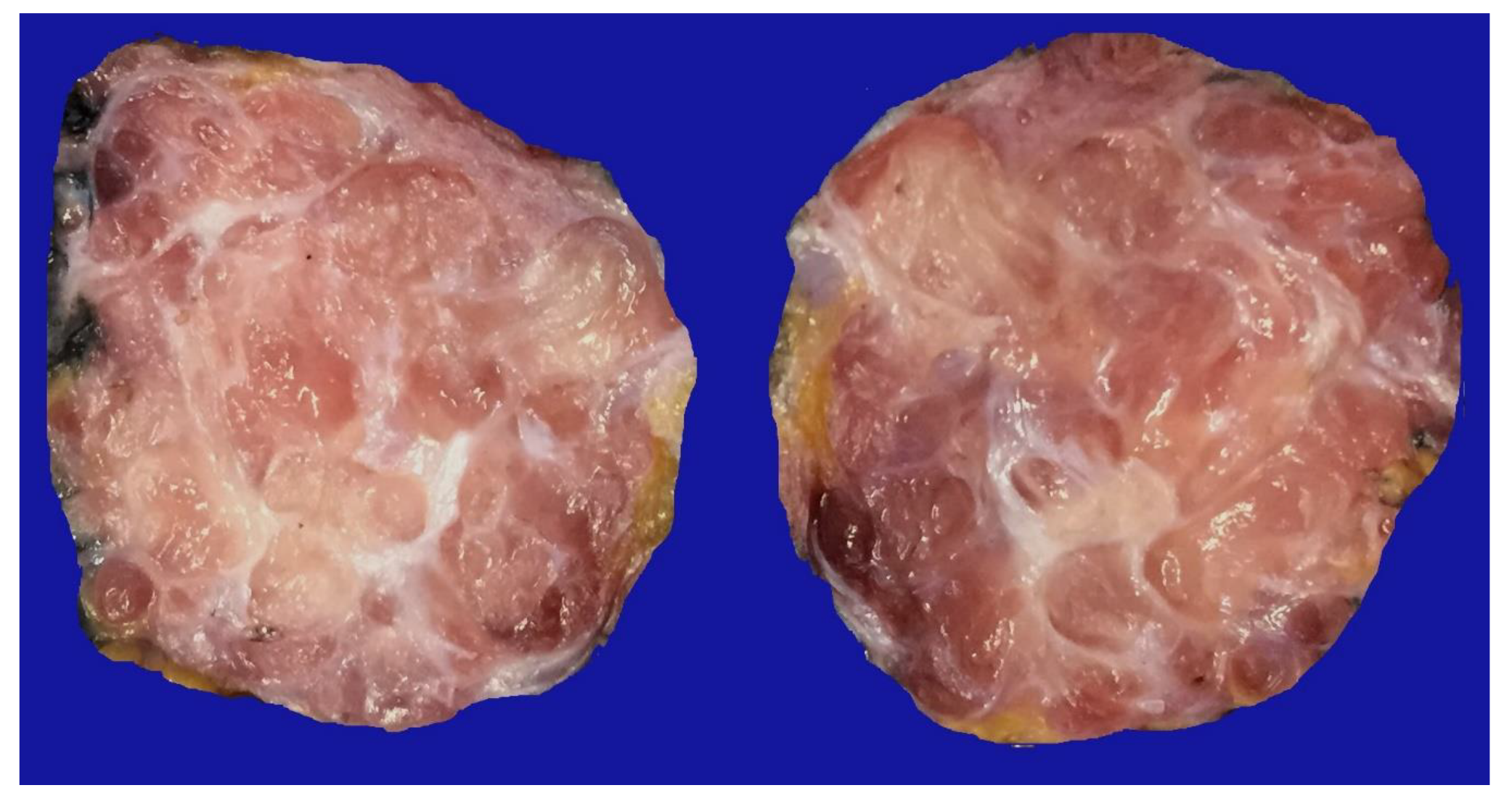 Preprints 81734 g002