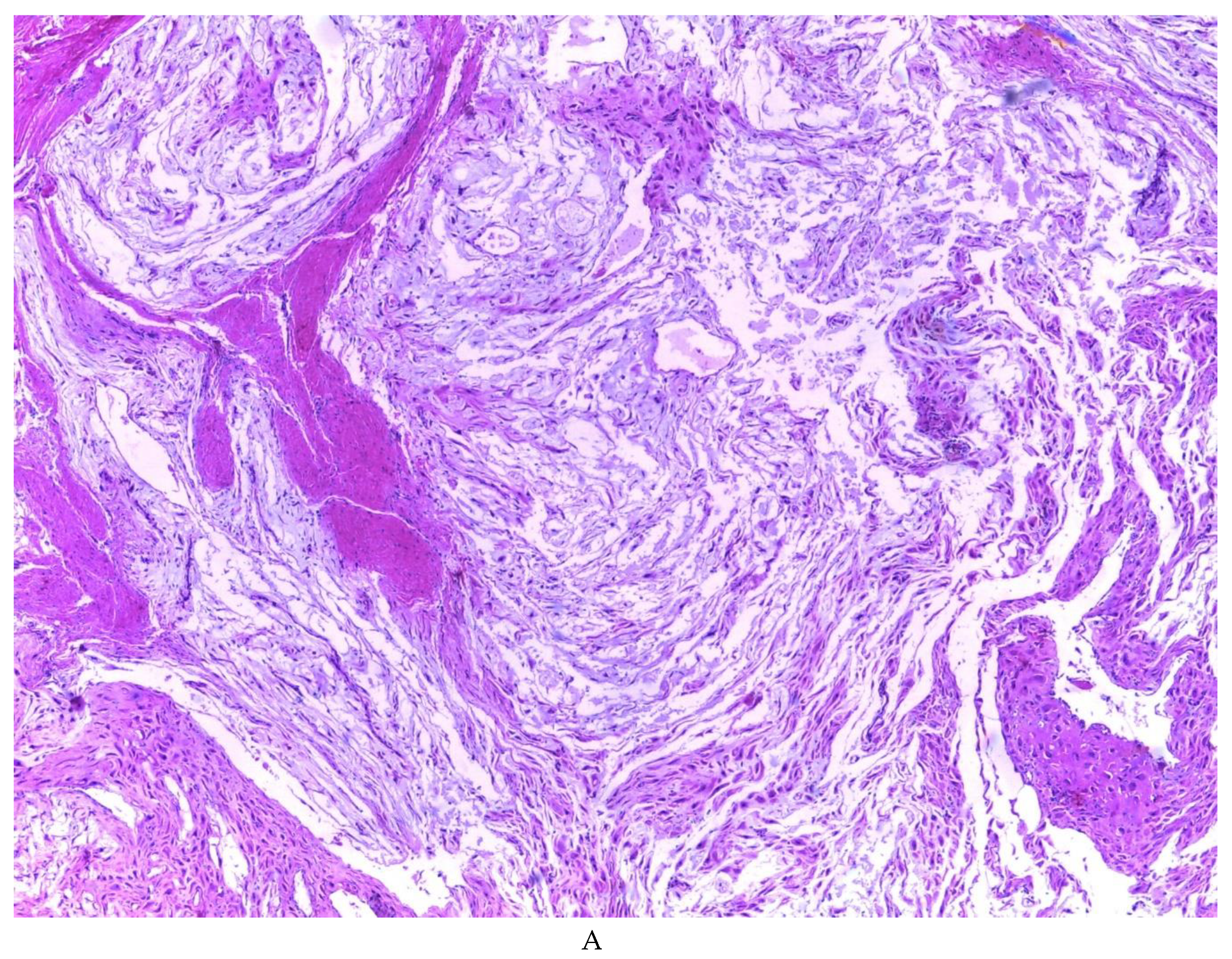 Preprints 81734 g003a