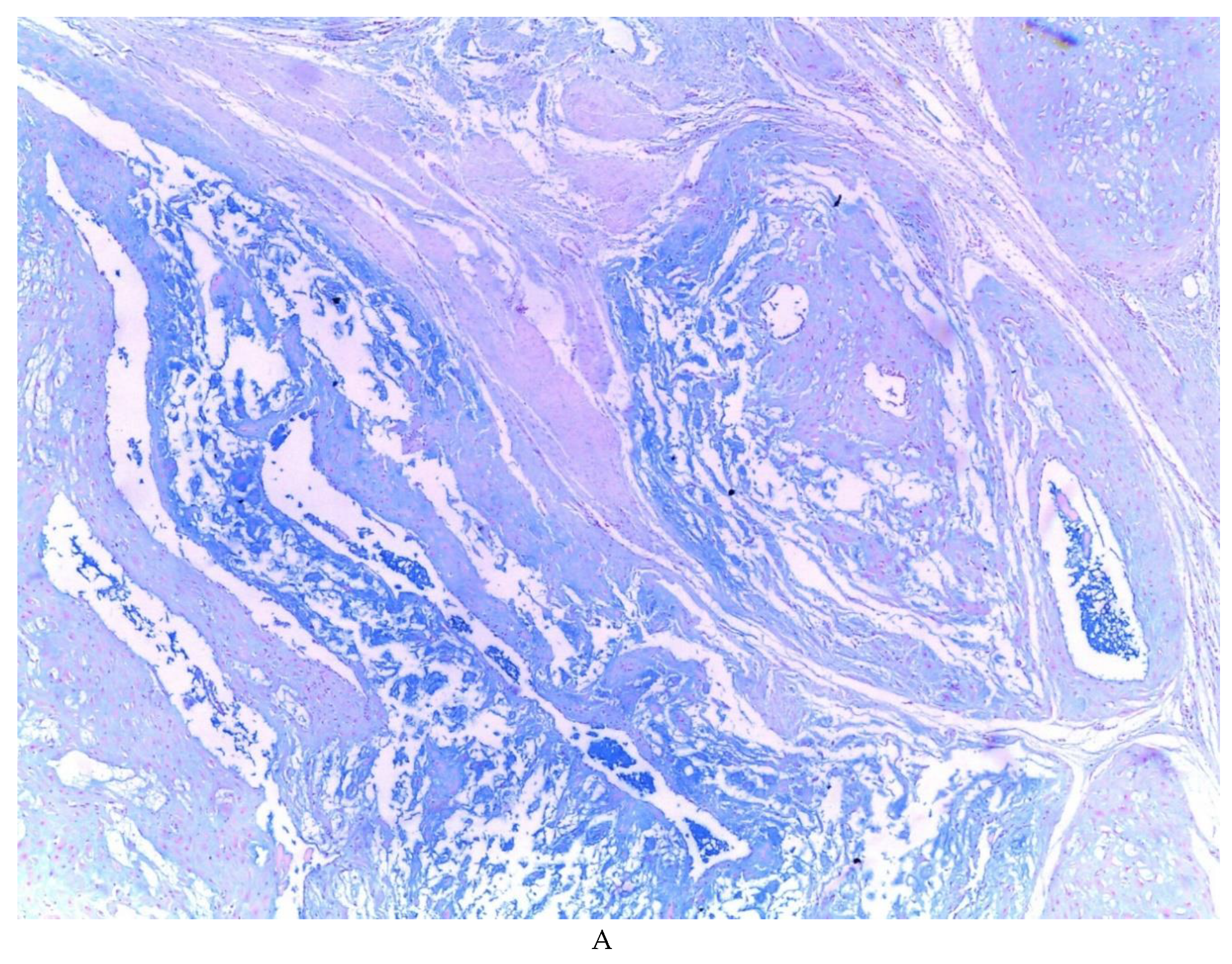 Preprints 81734 g004a