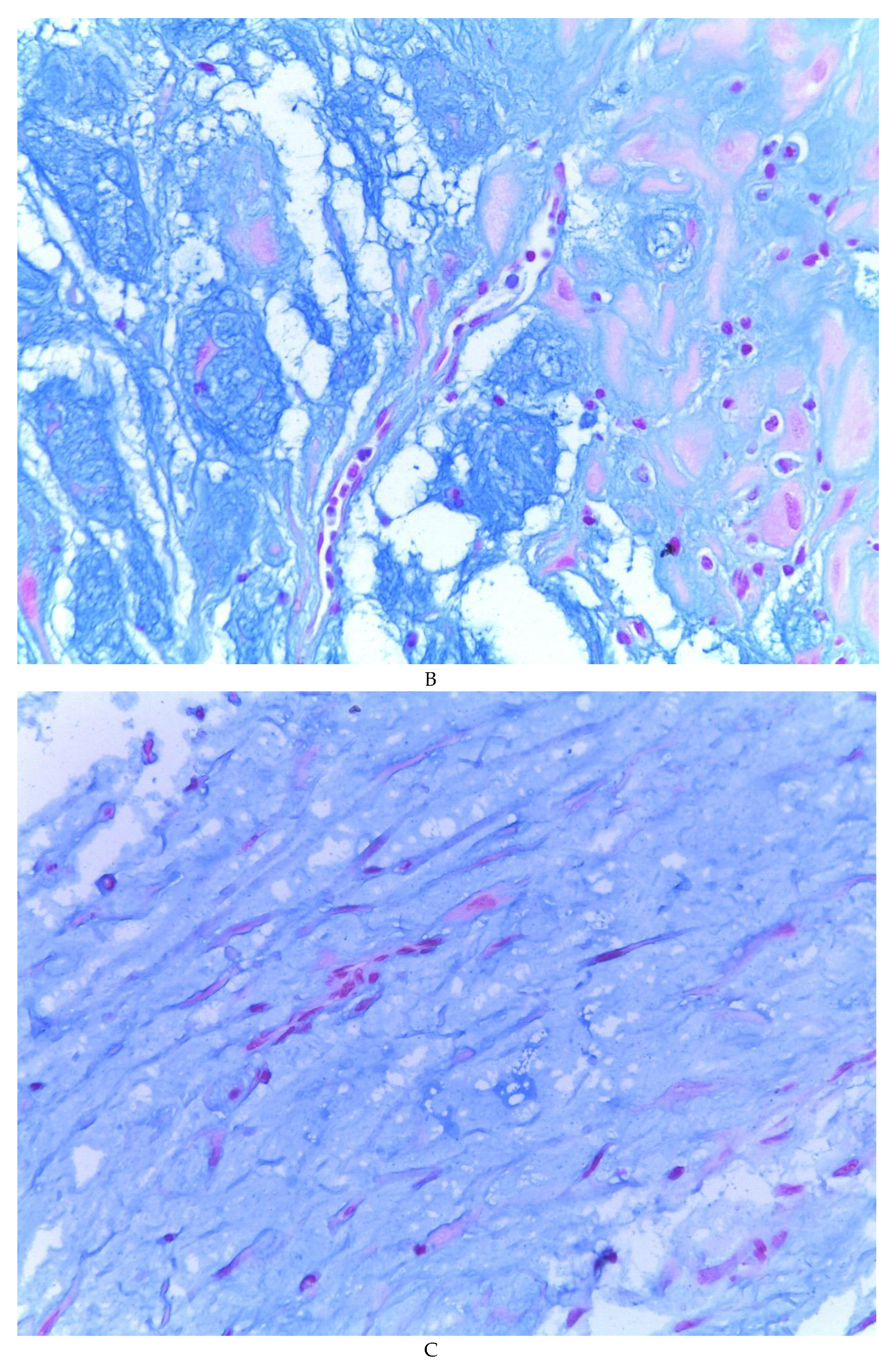 Preprints 81734 g004b