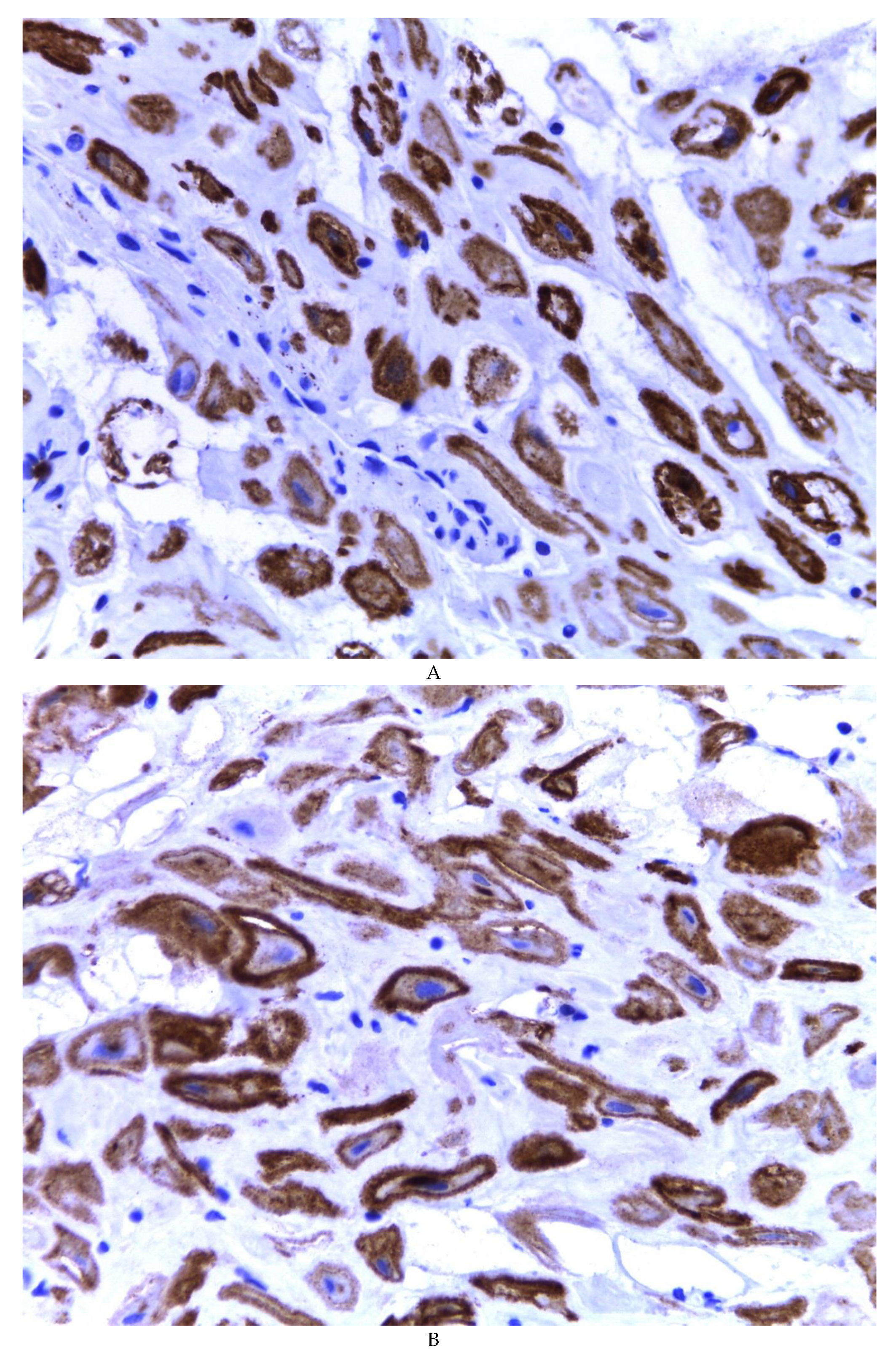 Preprints 81734 g005a