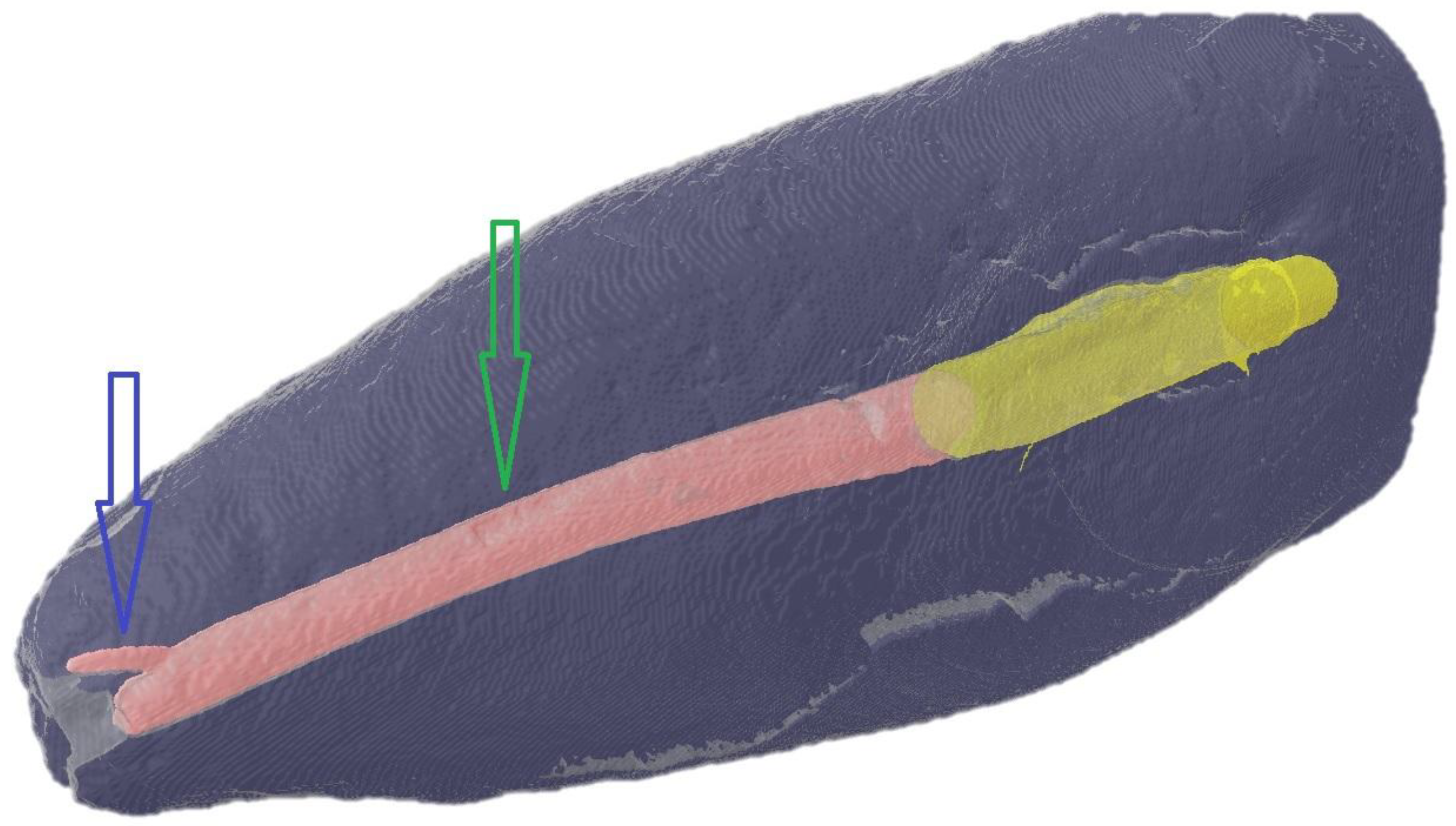 Preprints 177333 g002