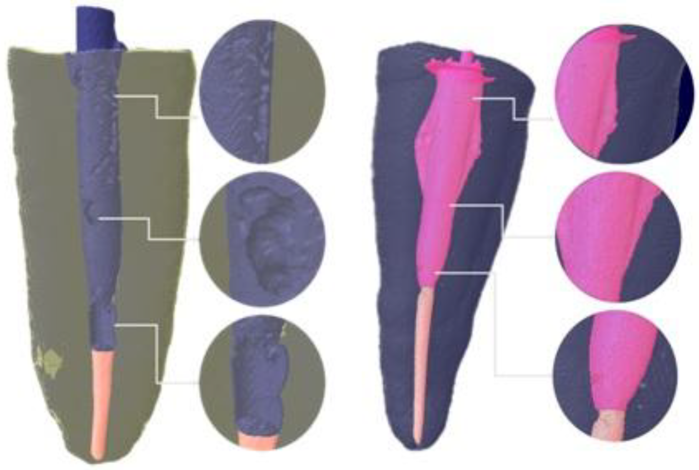 Preprints 177333 g003