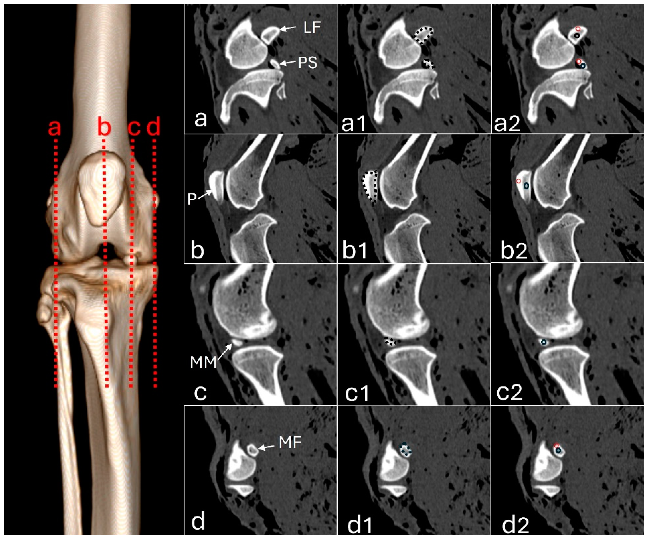 Preprints 140304 g001