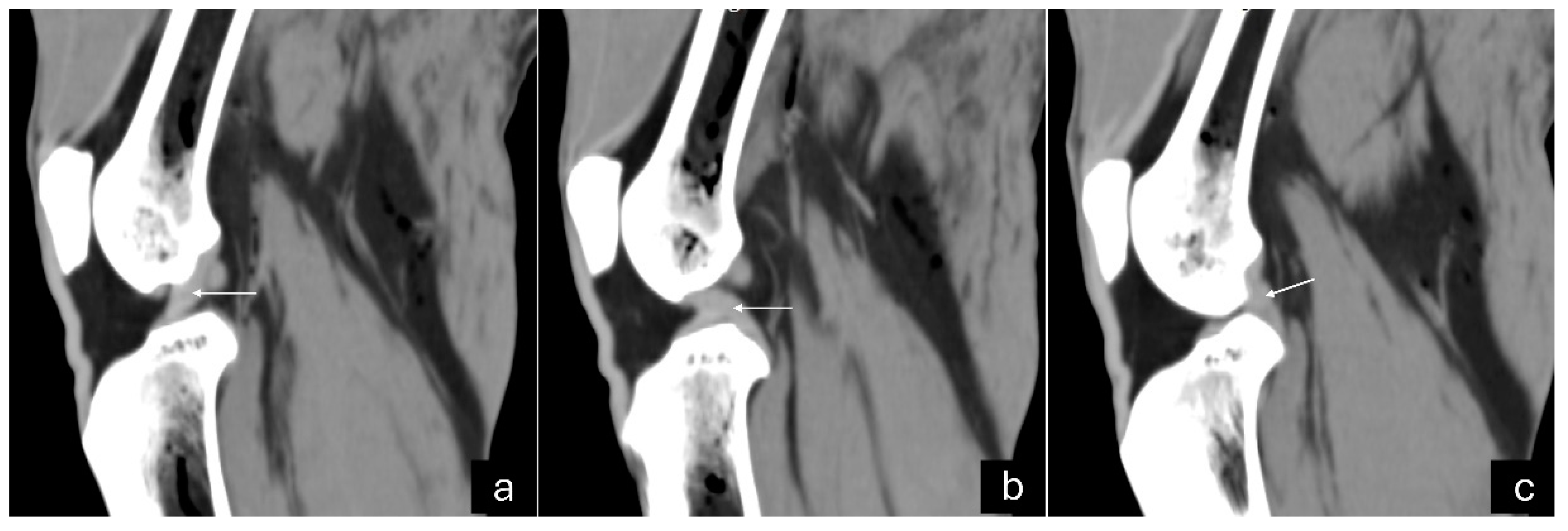 Preprints 140304 g003