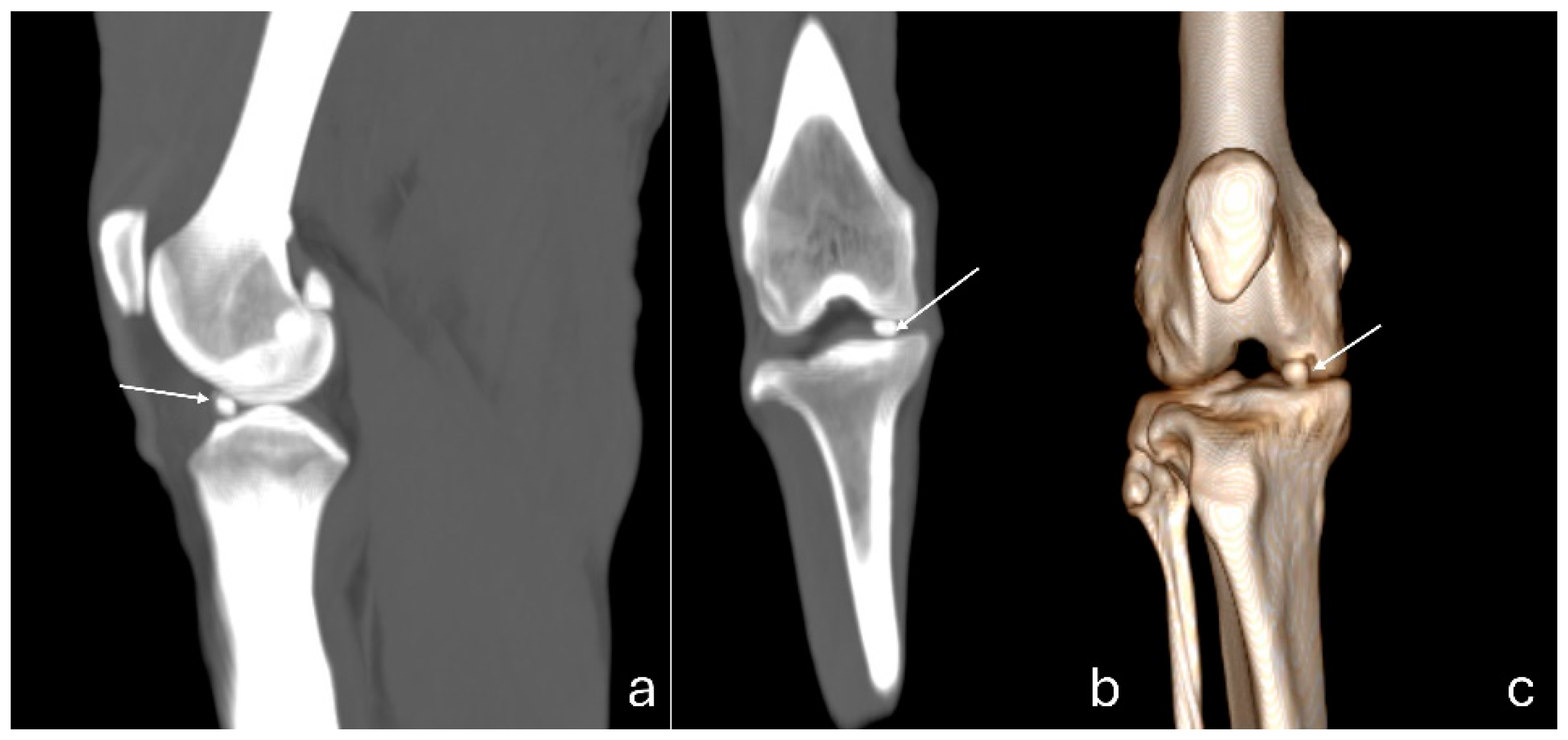 Preprints 140304 g004