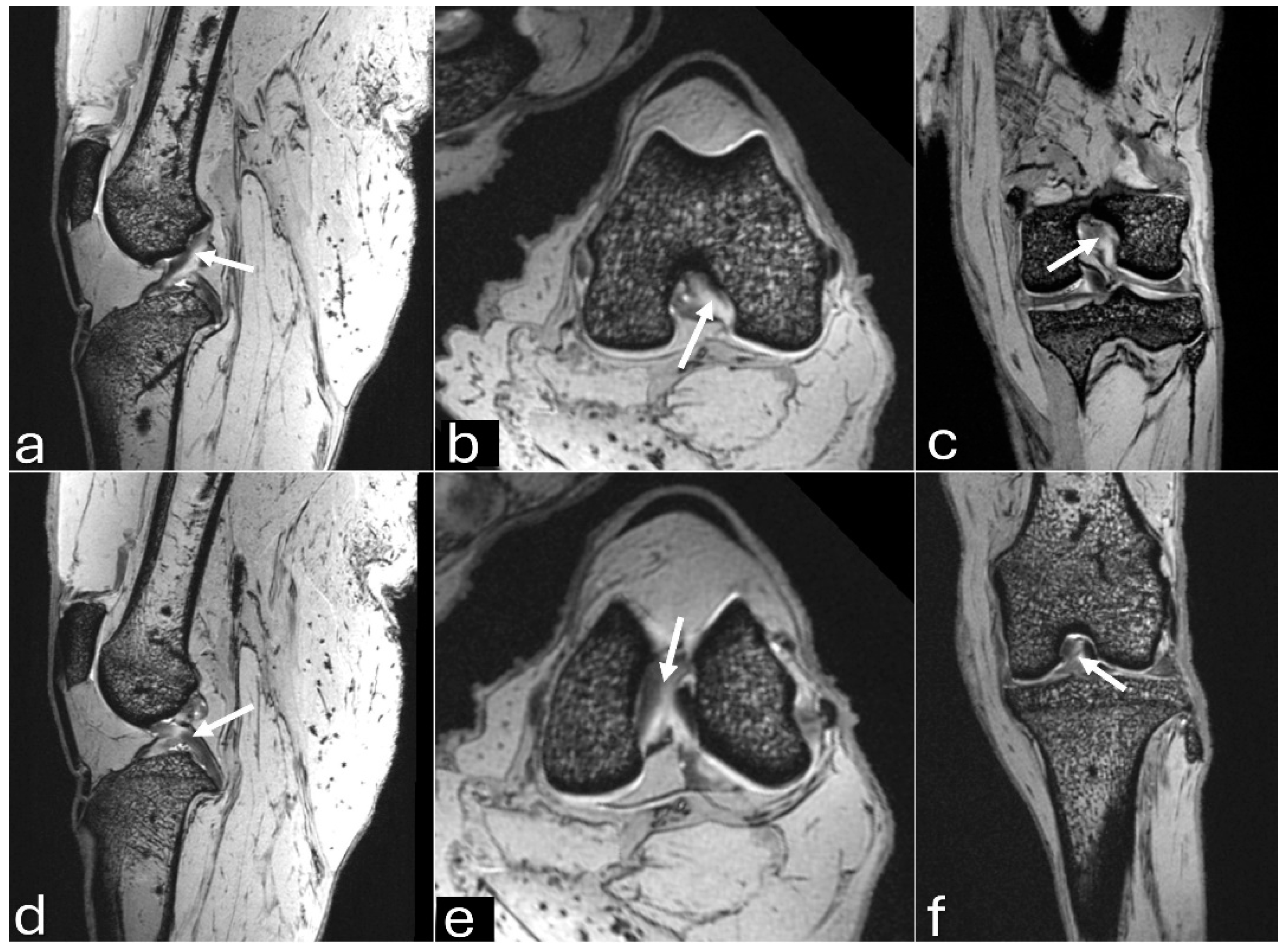 Preprints 140304 g006