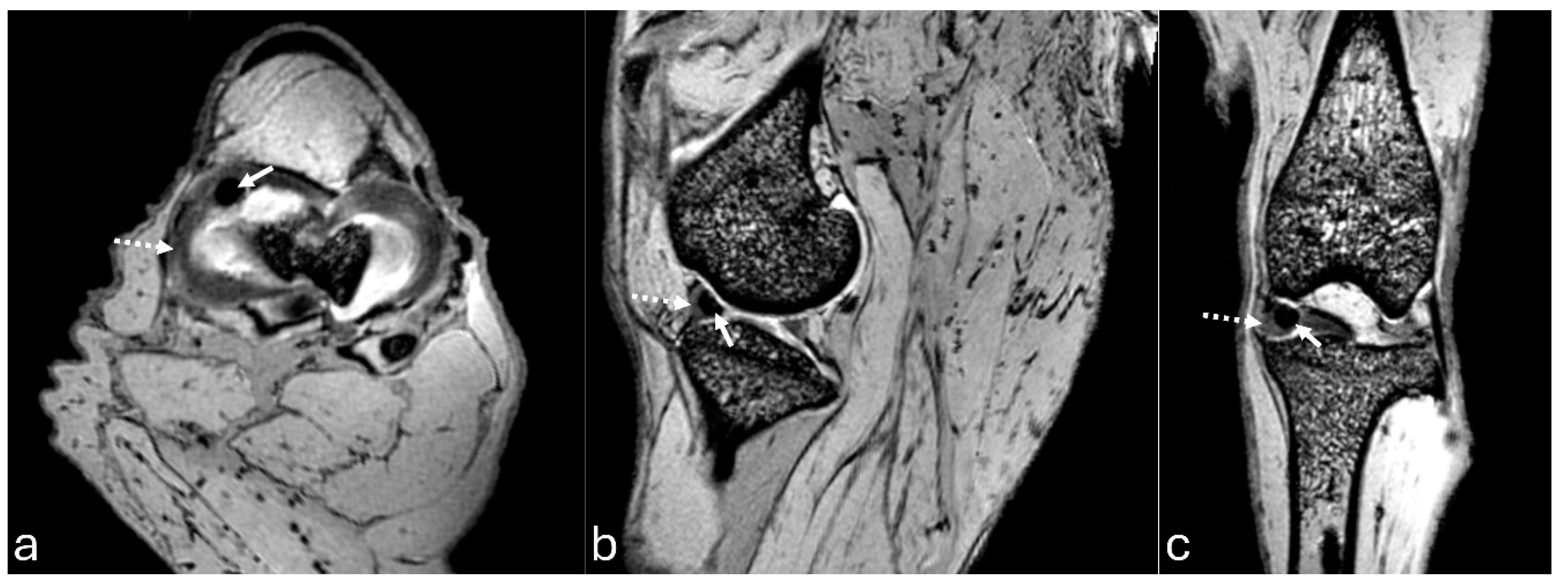 Preprints 140304 g007
