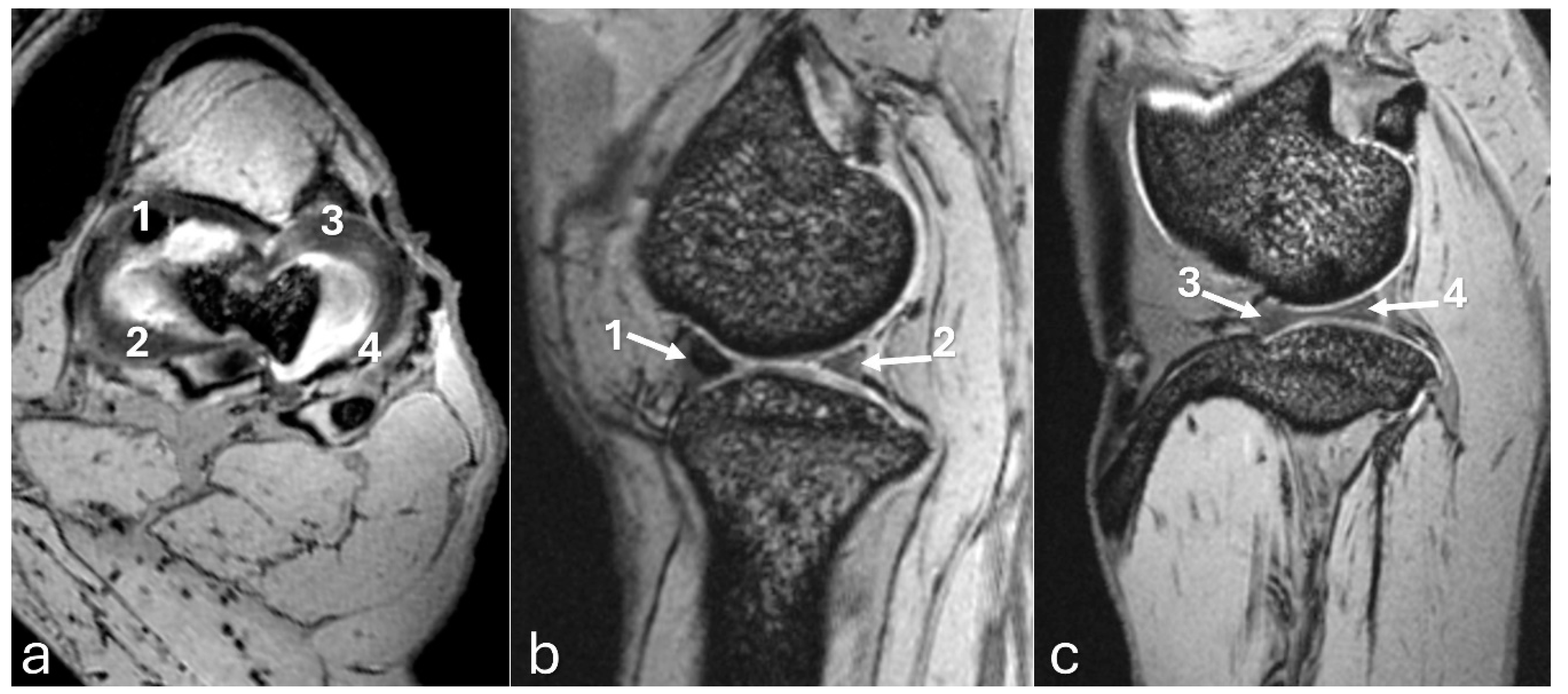Preprints 140304 g008