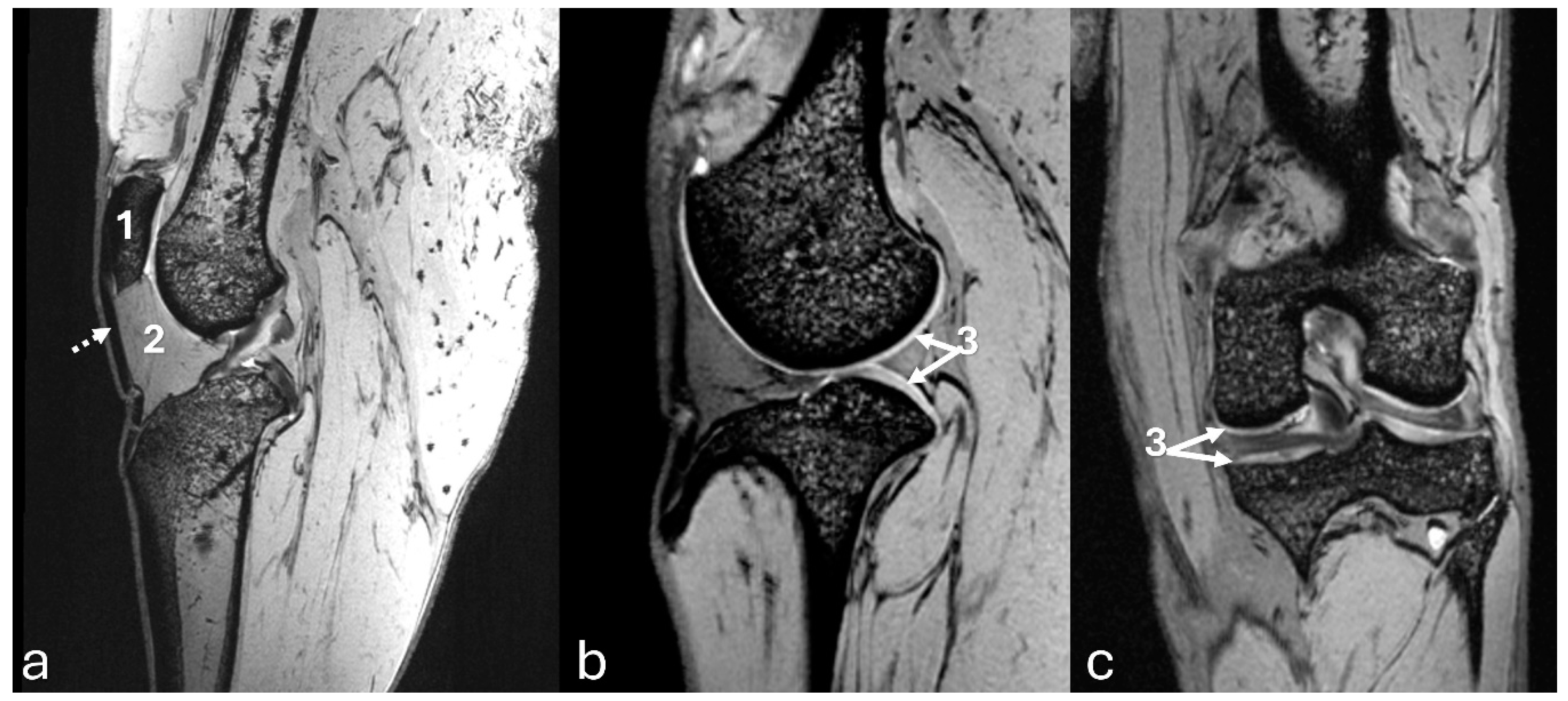 Preprints 140304 g009
