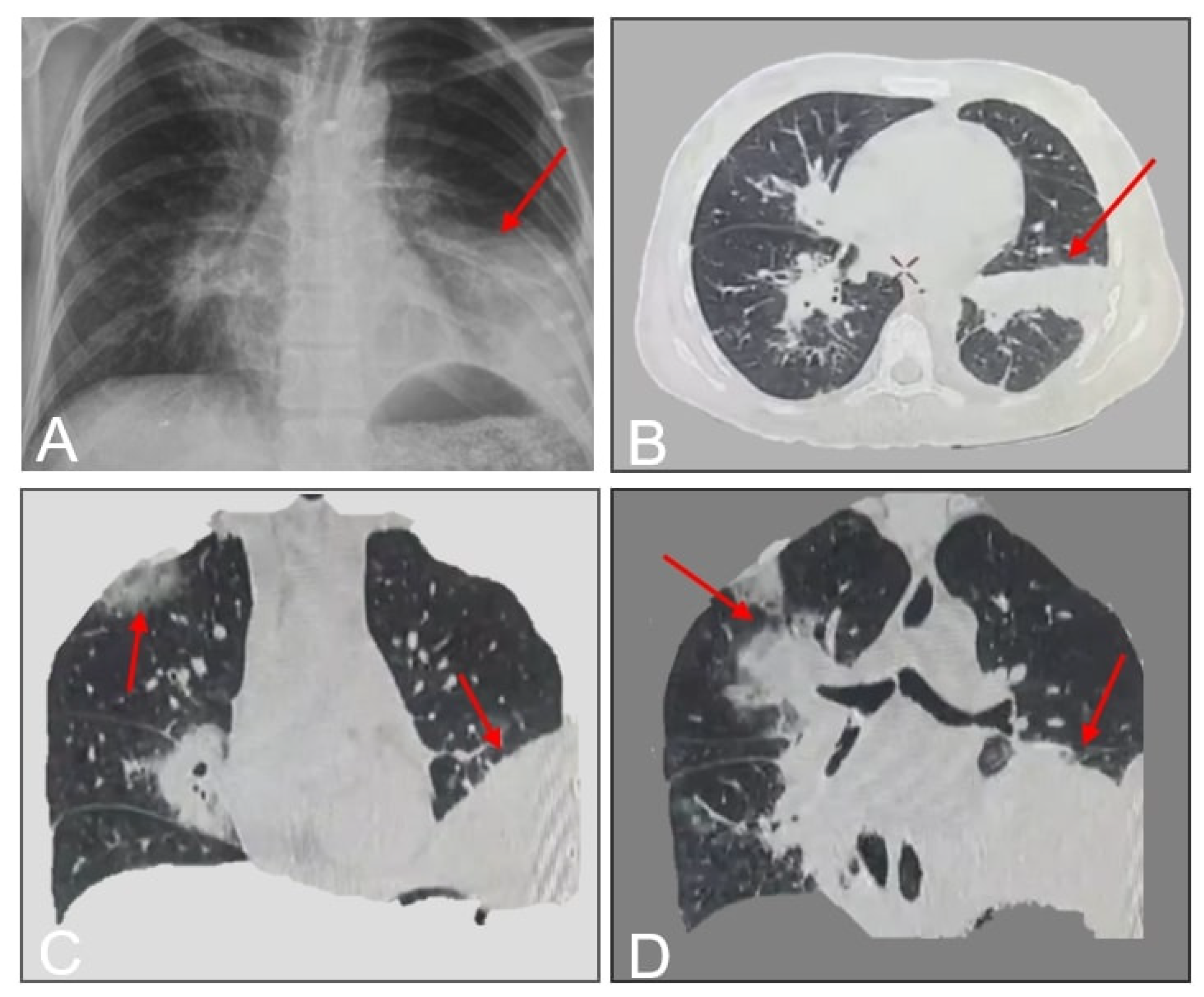 Preprints 172254 g001