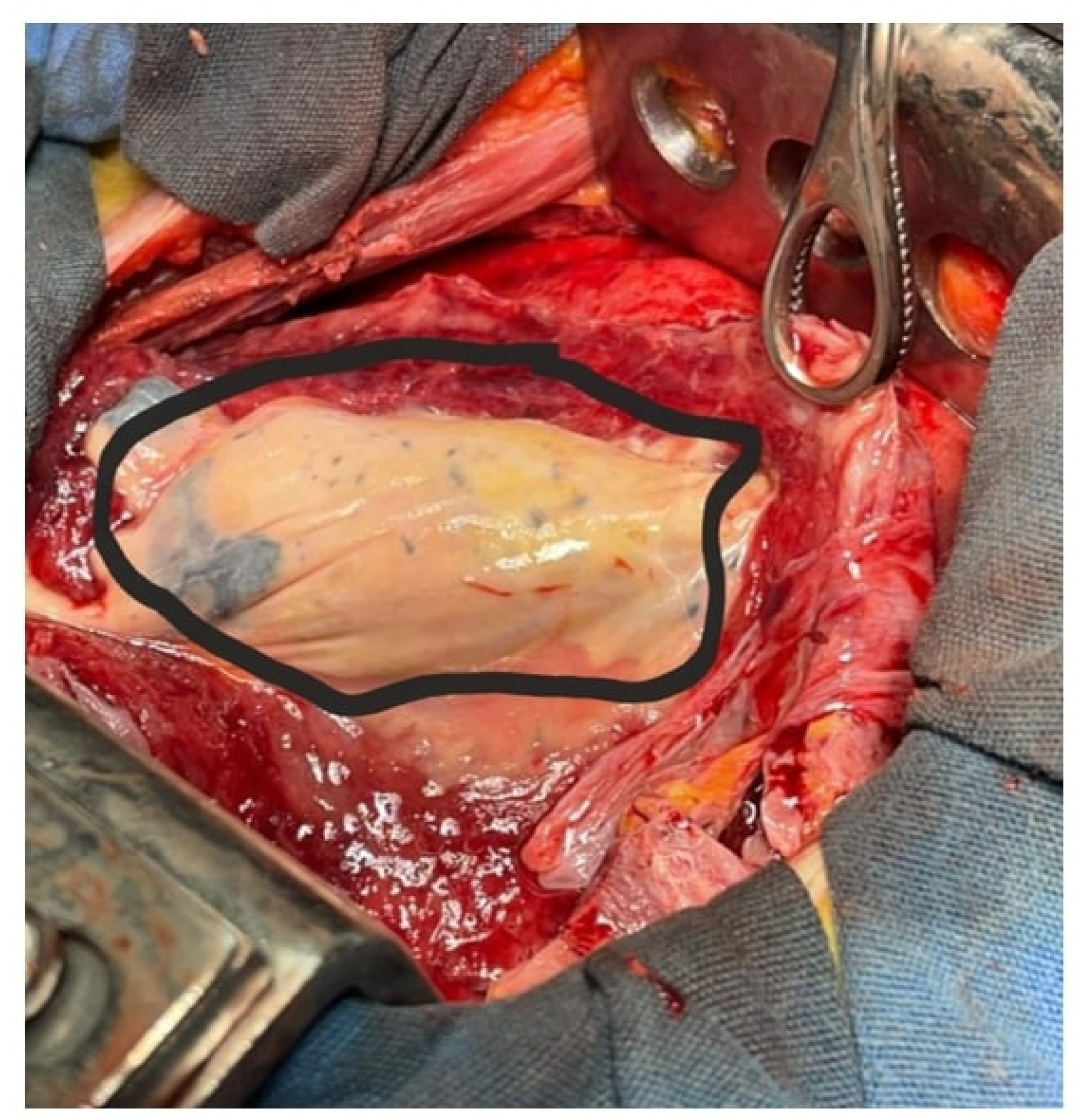 Preprints 172254 g003