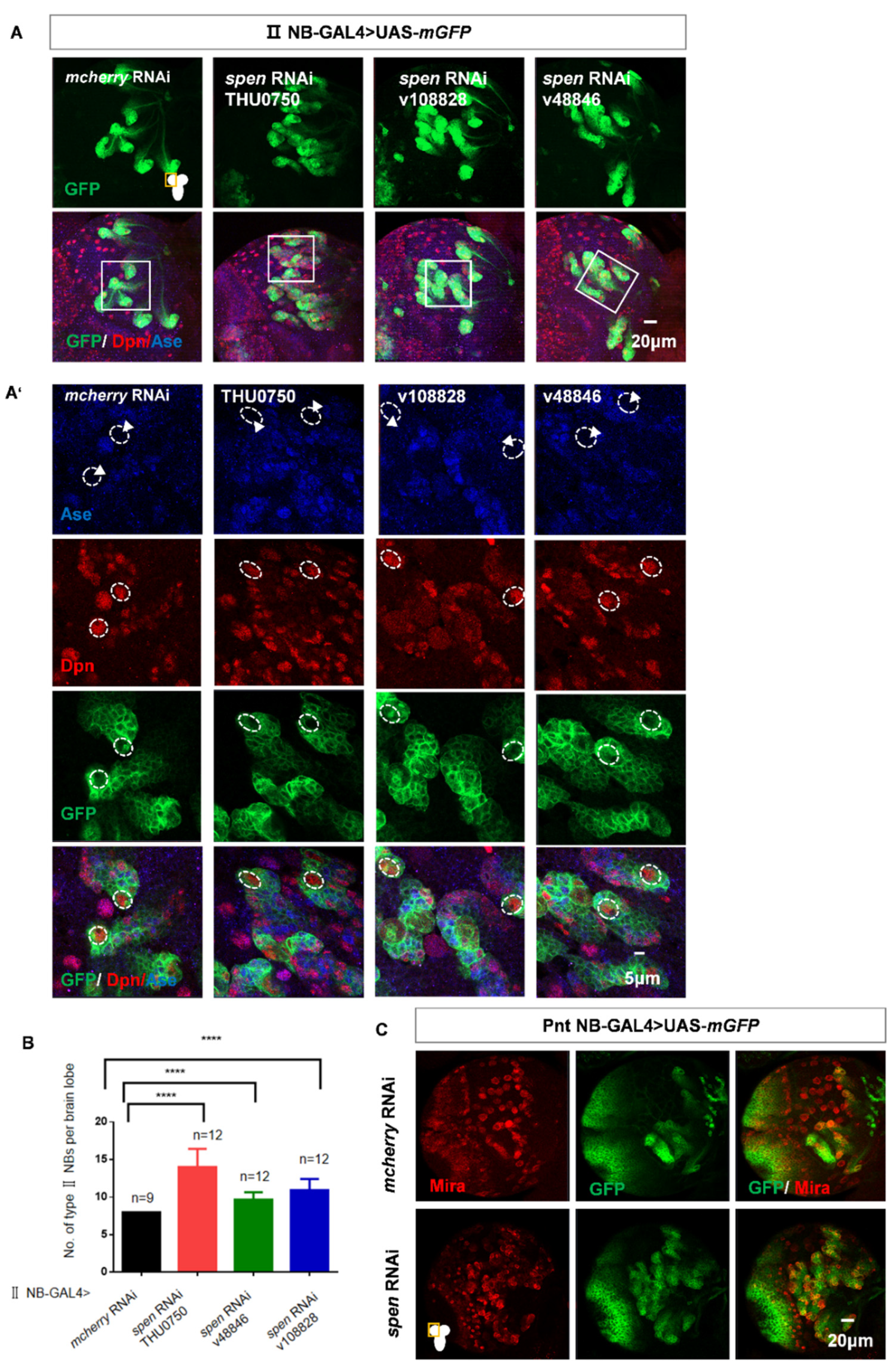 Preprints 177859 g001a