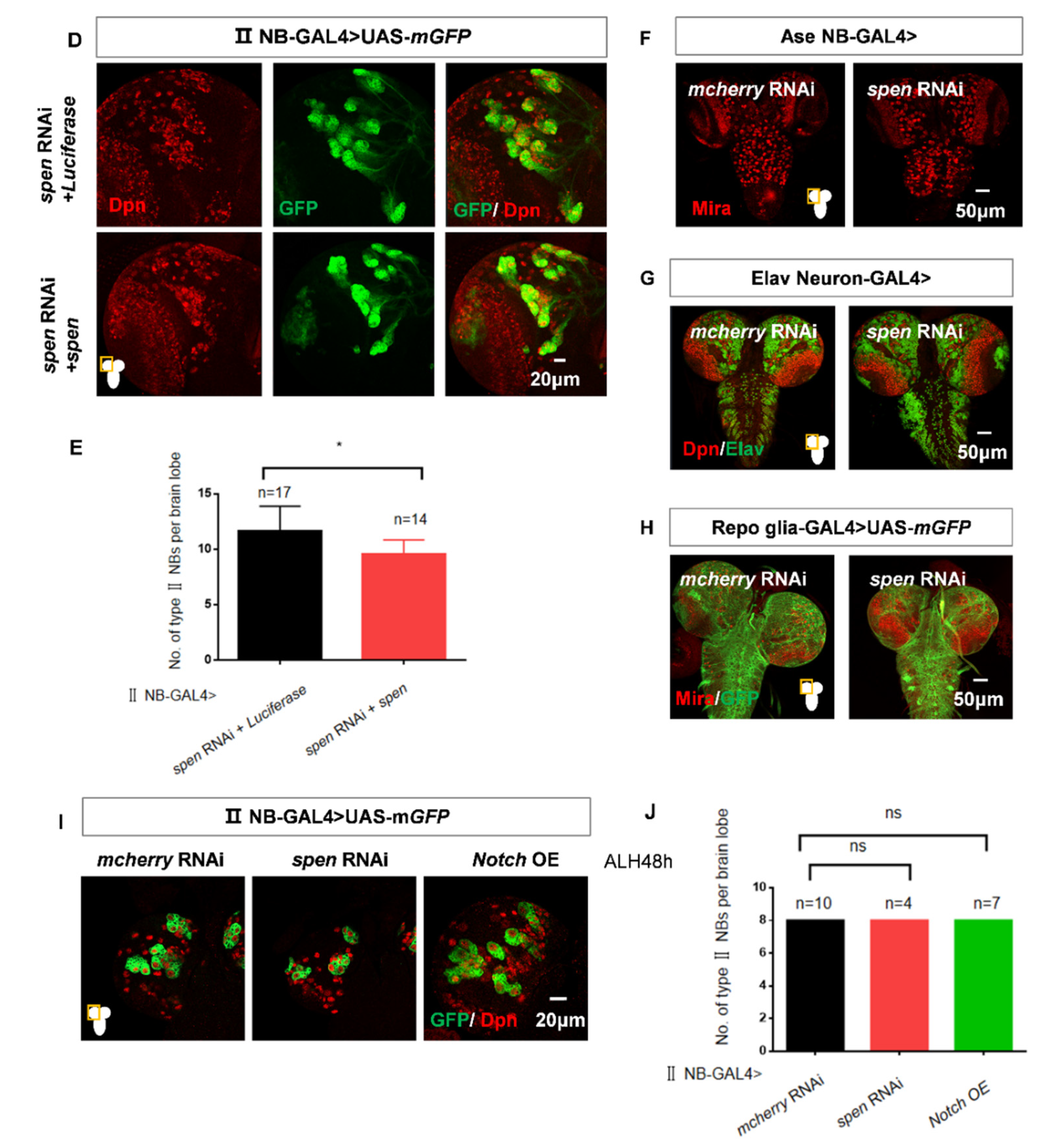 Preprints 177859 g001b
