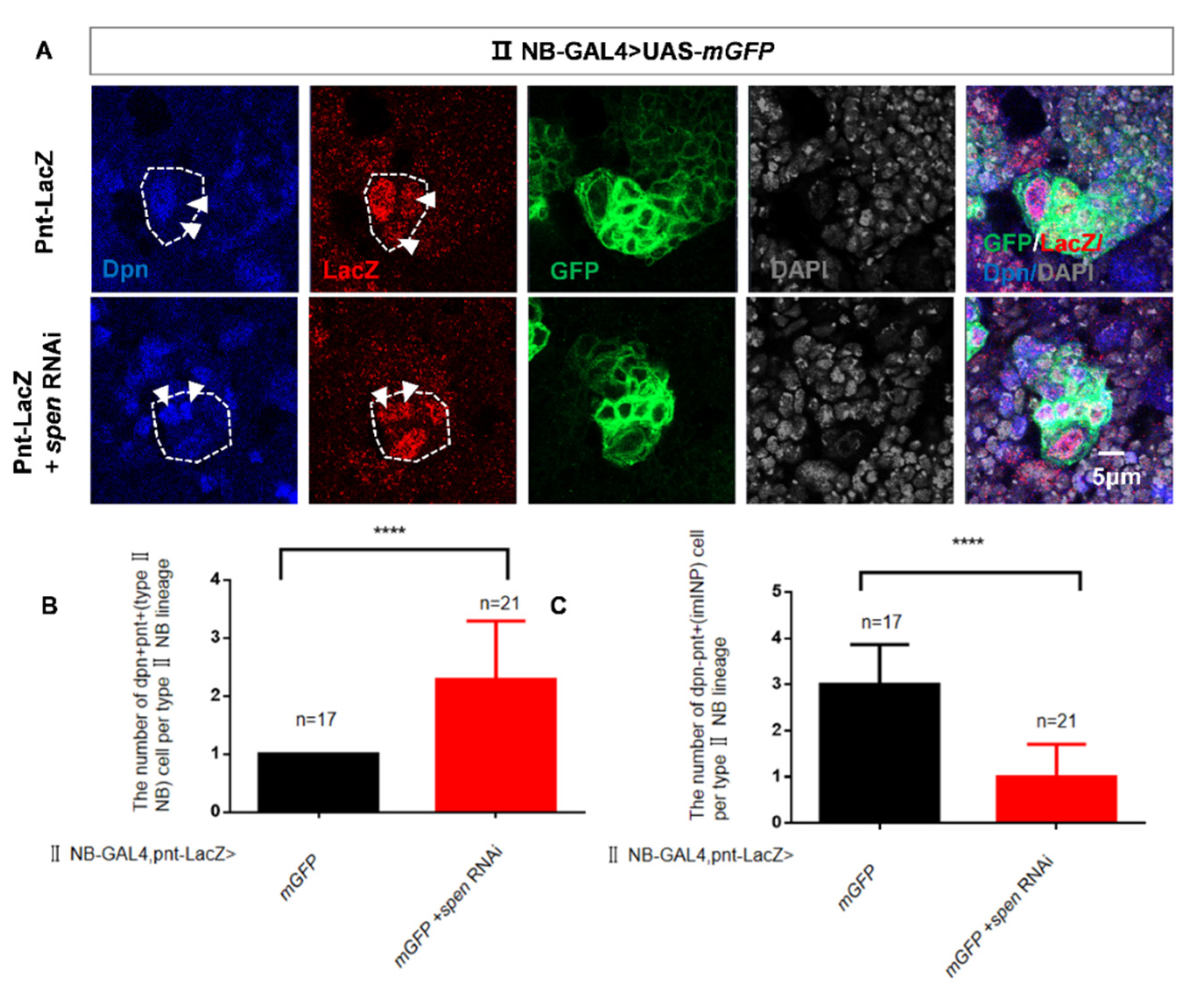 Preprints 177859 g002a