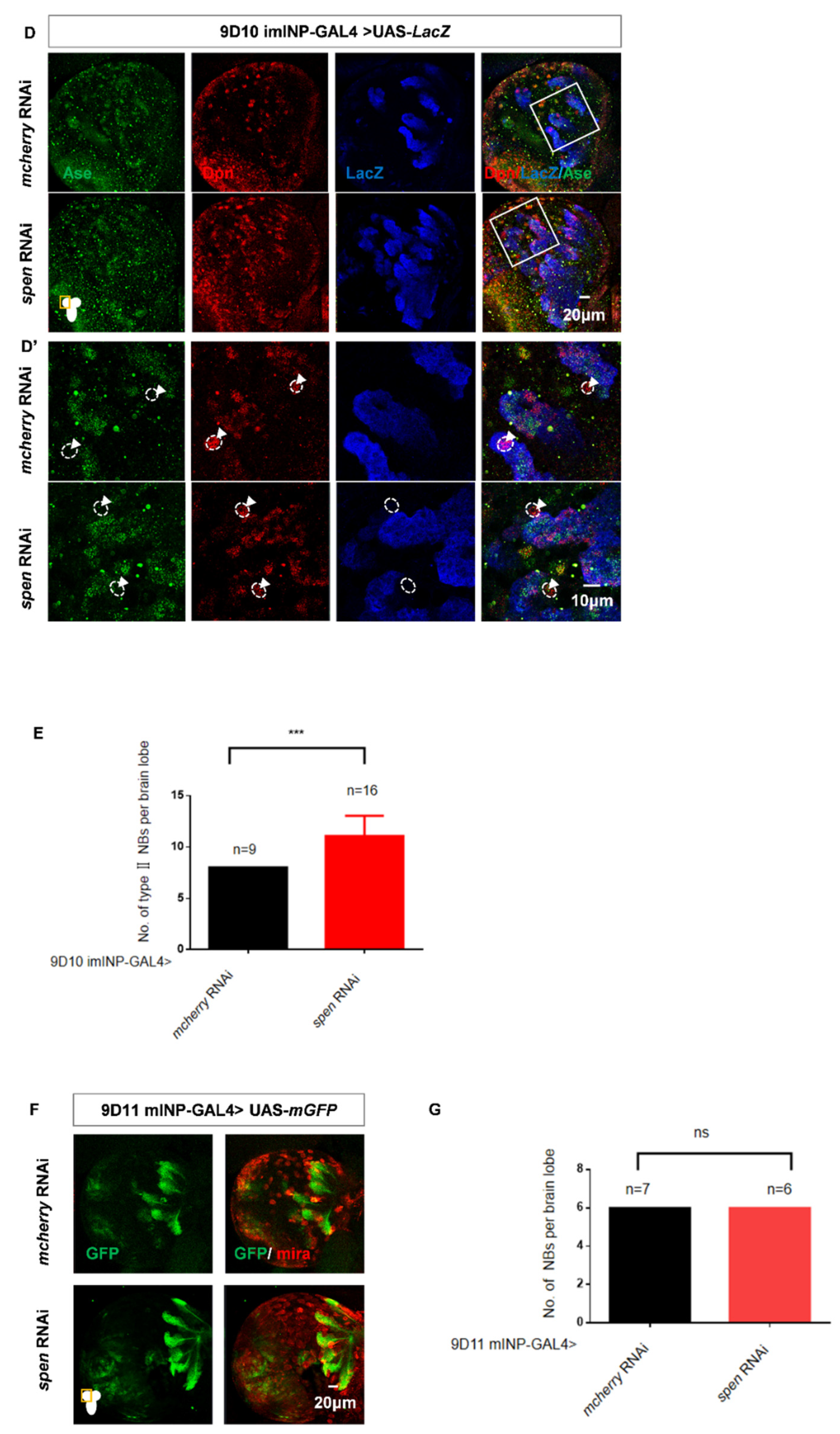 Preprints 177859 g002b