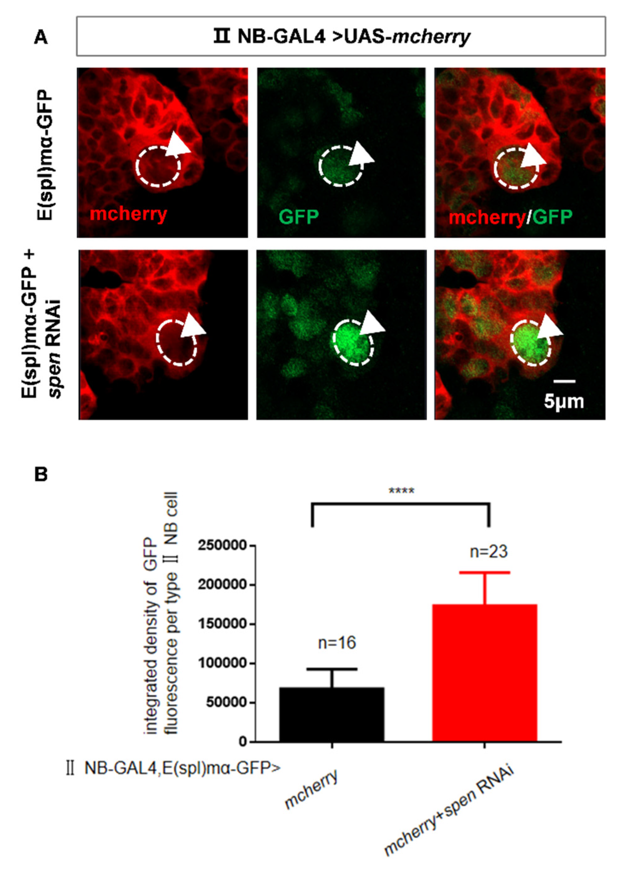 Preprints 177859 g003a