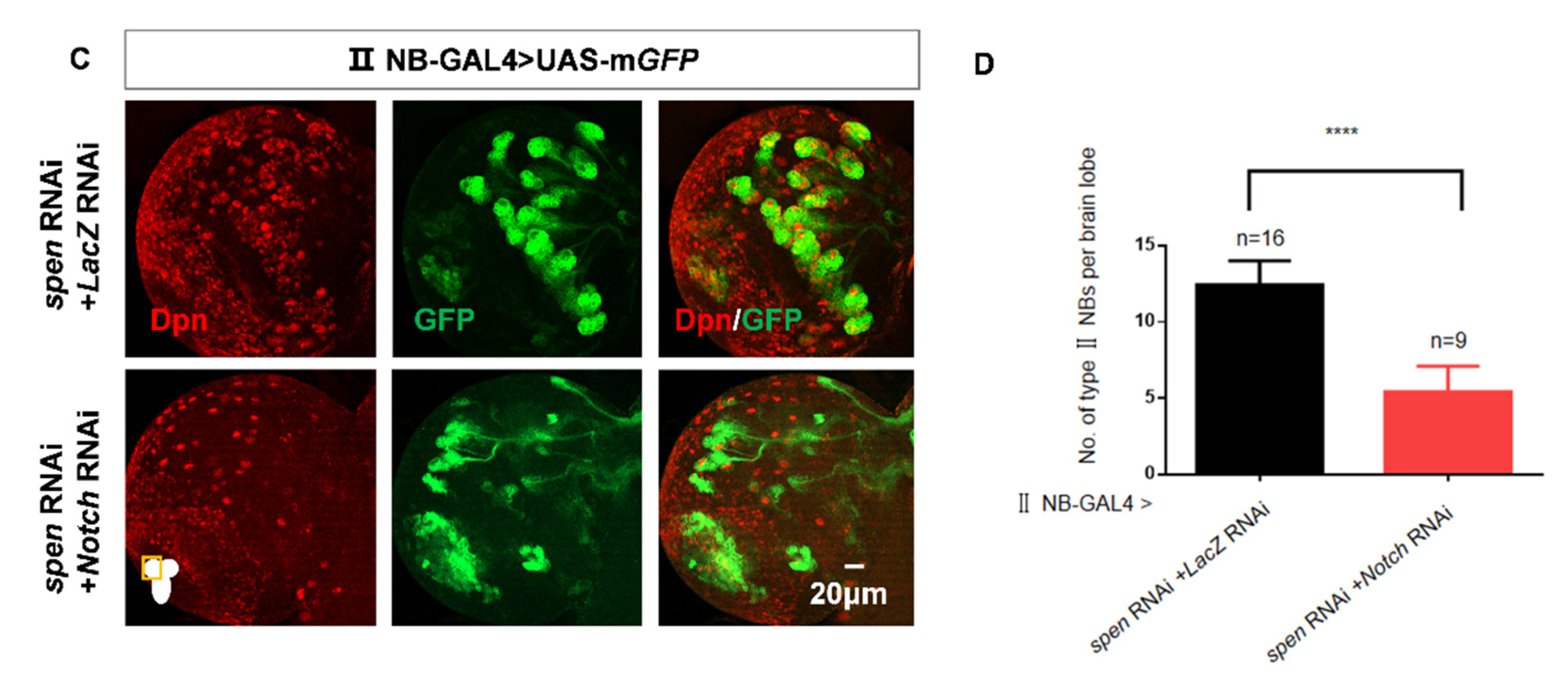 Preprints 177859 g003b