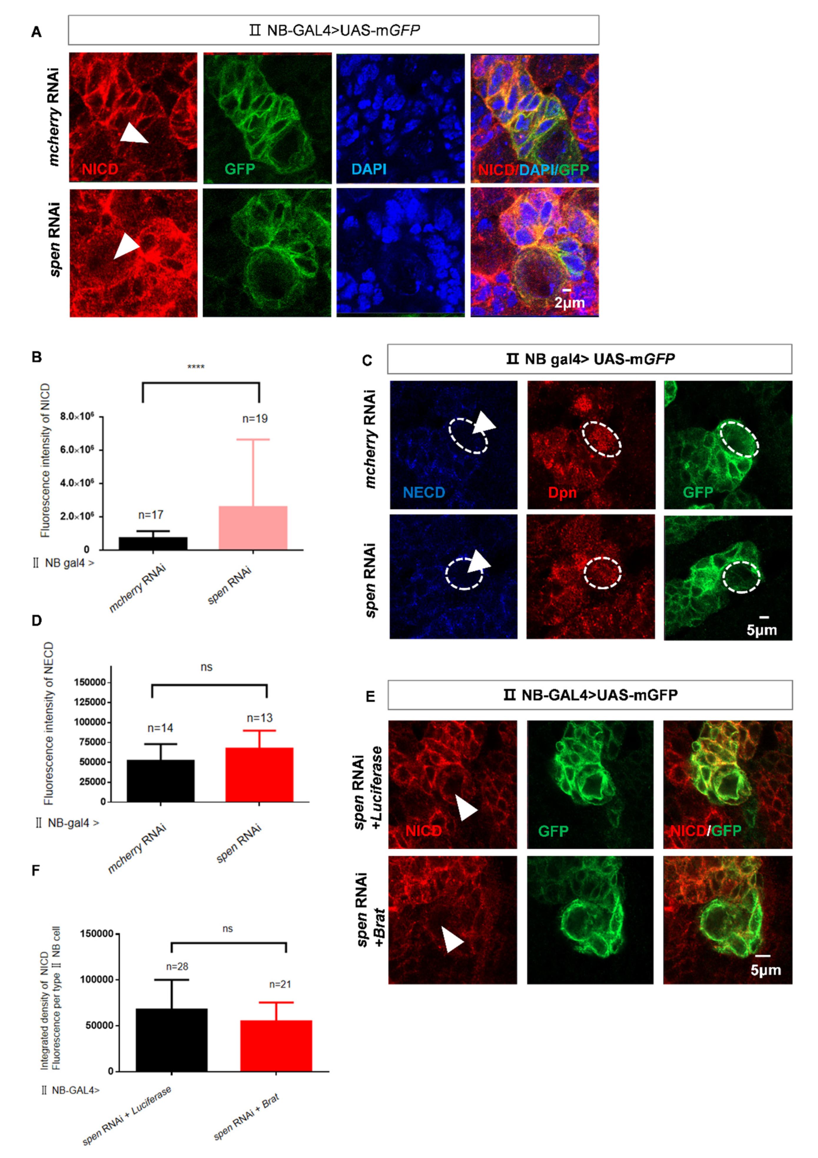 Preprints 177859 g004