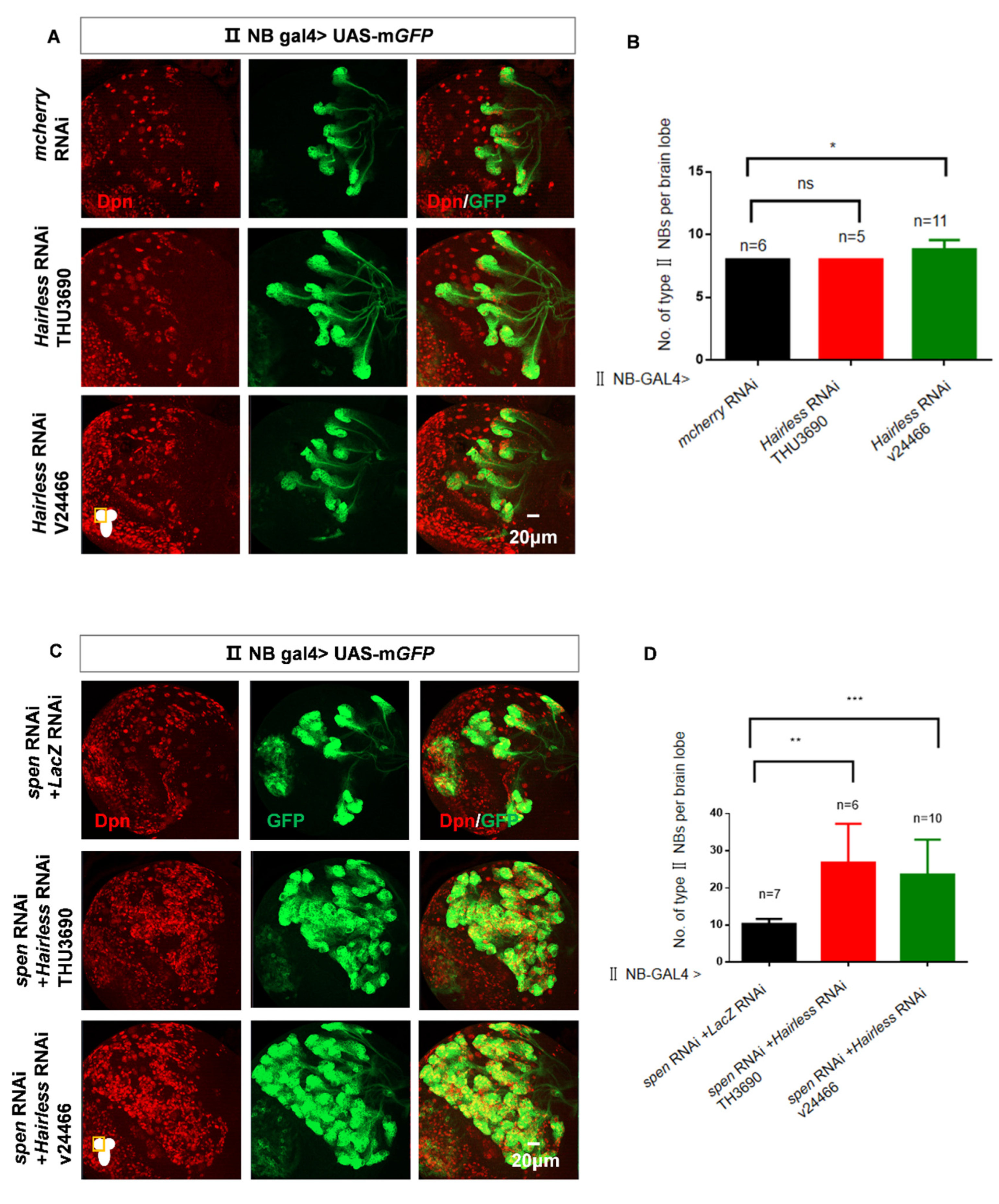 Preprints 177859 g005a
