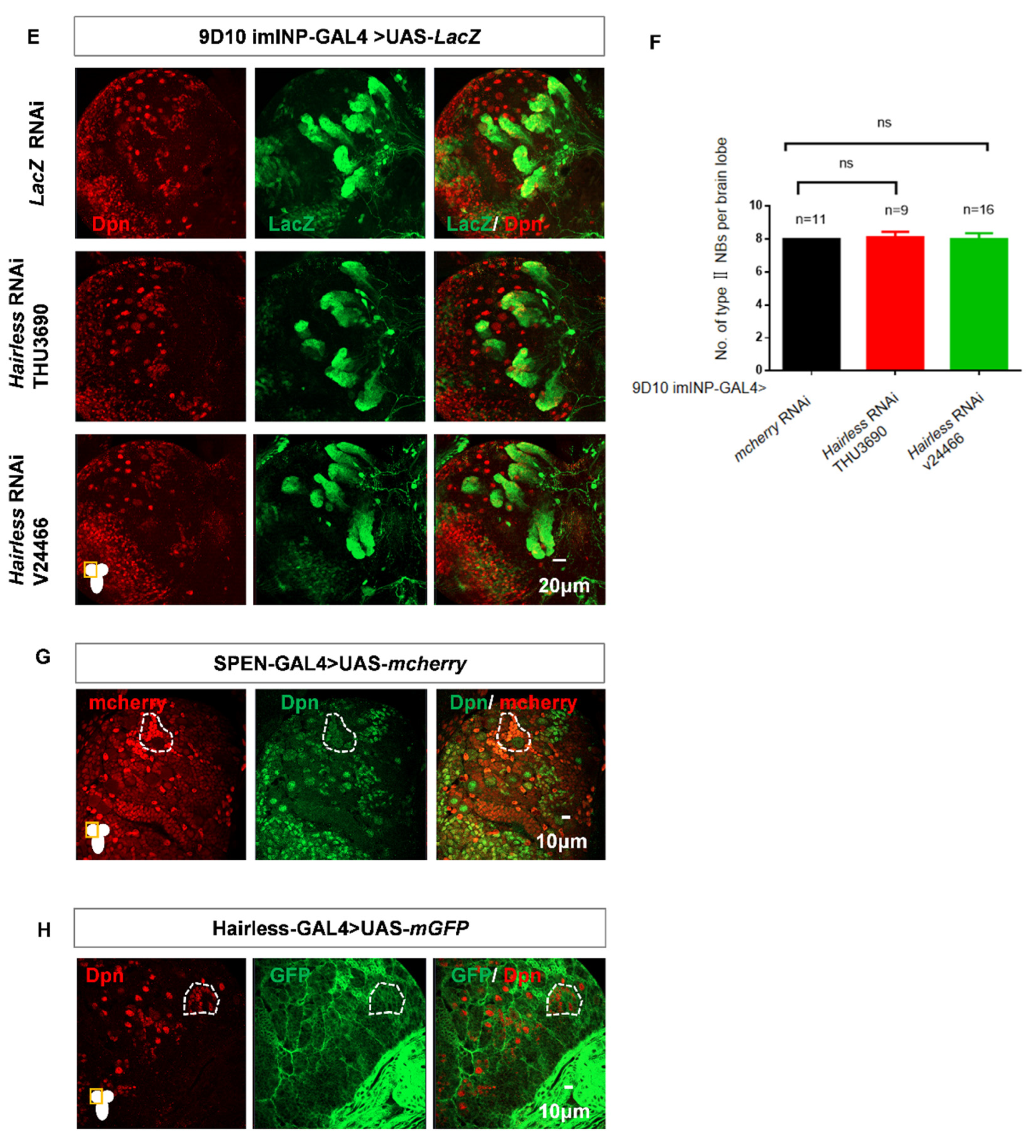 Preprints 177859 g005b