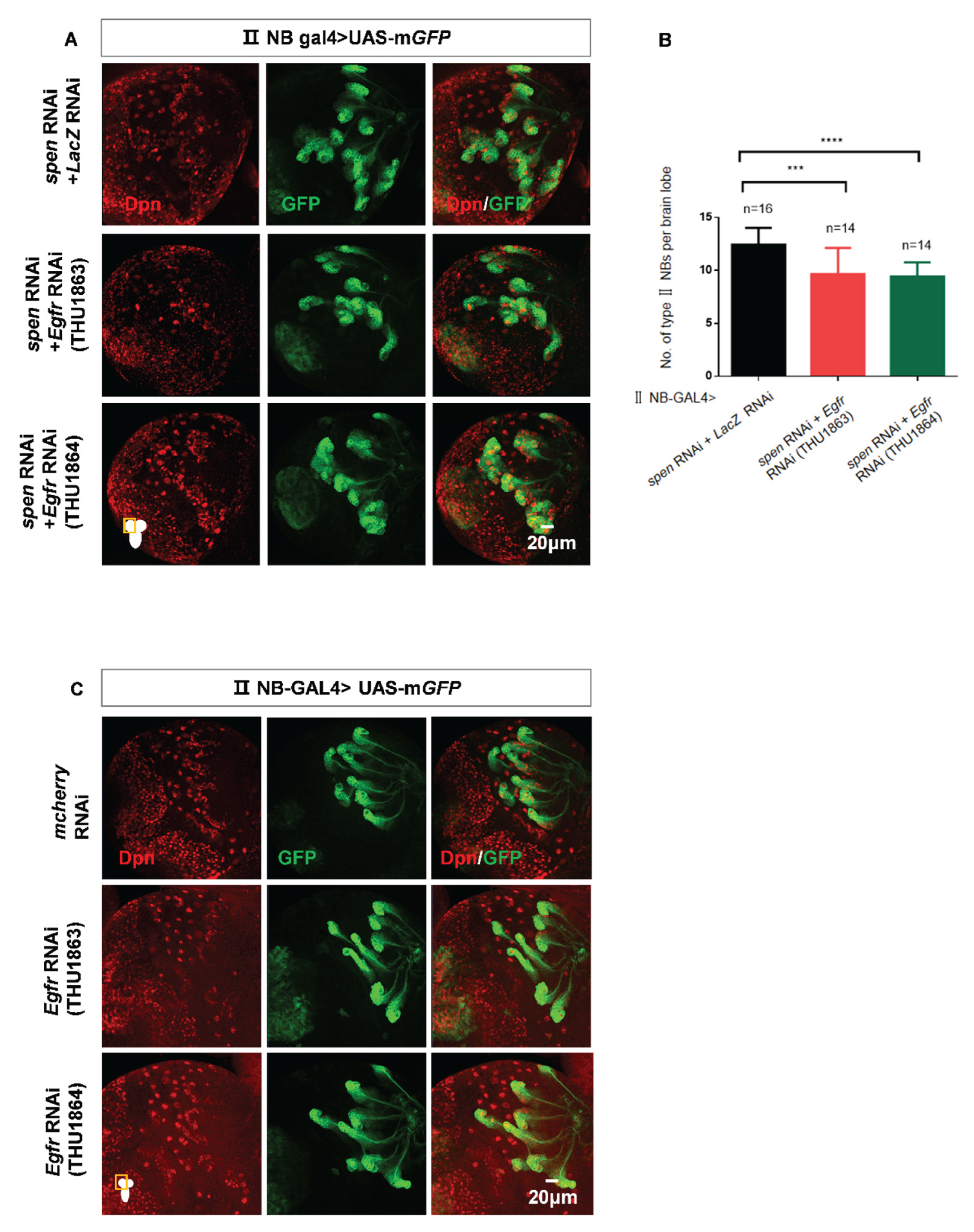 Preprints 177859 g006a